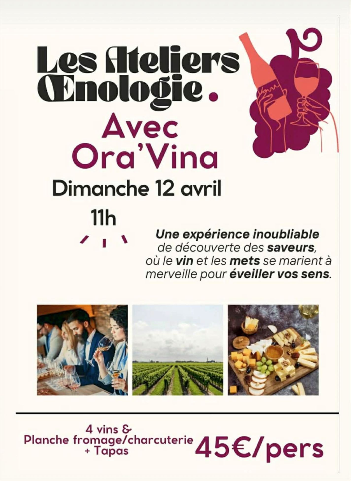 Les ateliers d'�nologie
