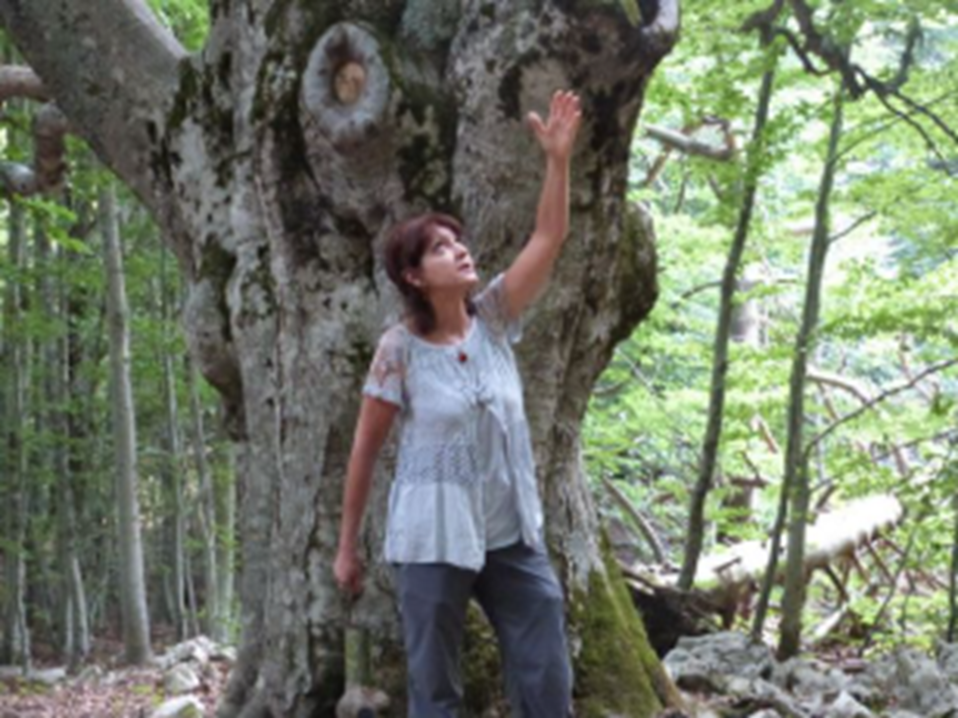 Balade cont�e dans le vieux village de Malauc�ne