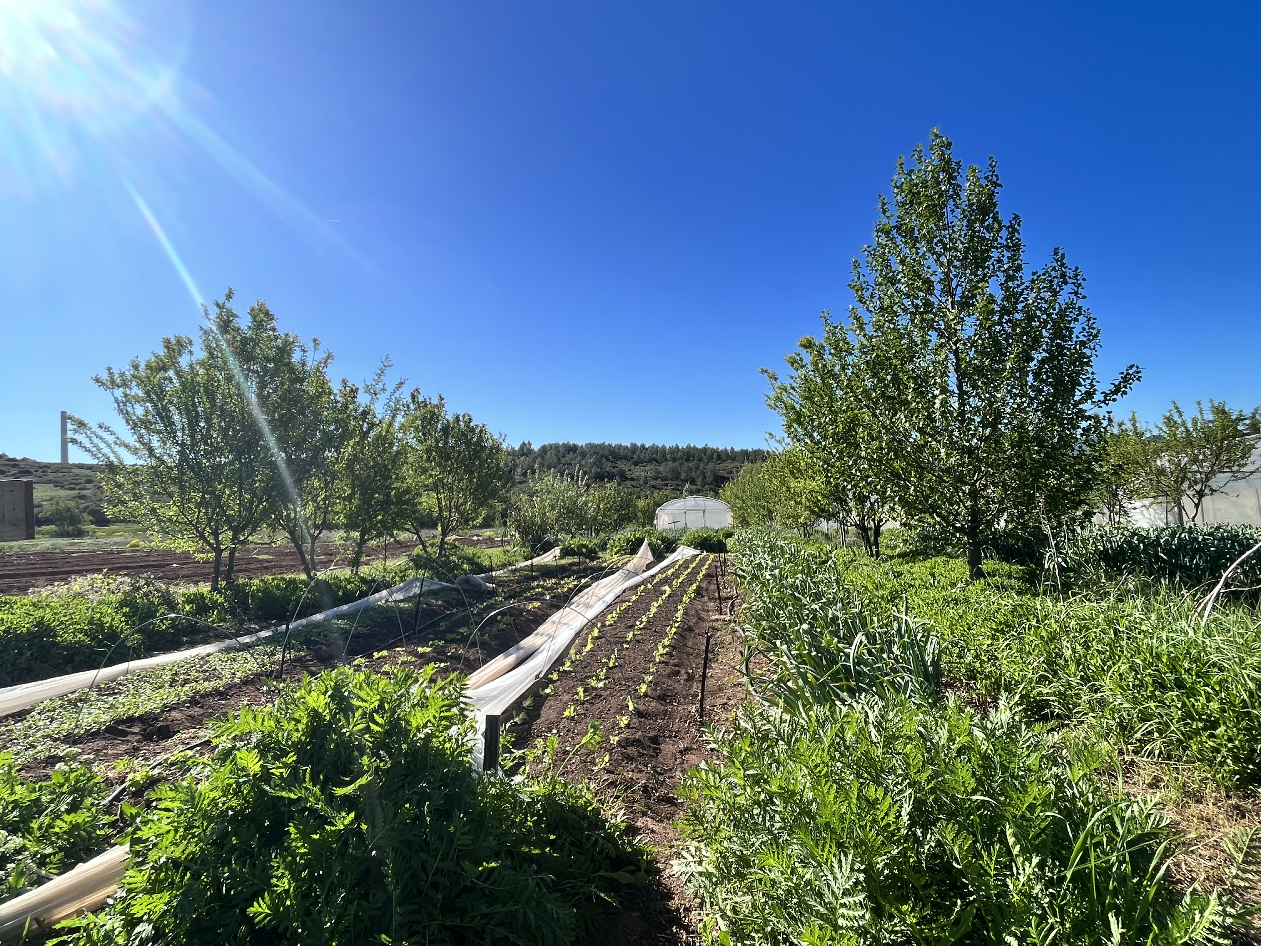 Journ�e en immersion - L'alimentation durable - Indus'3Days