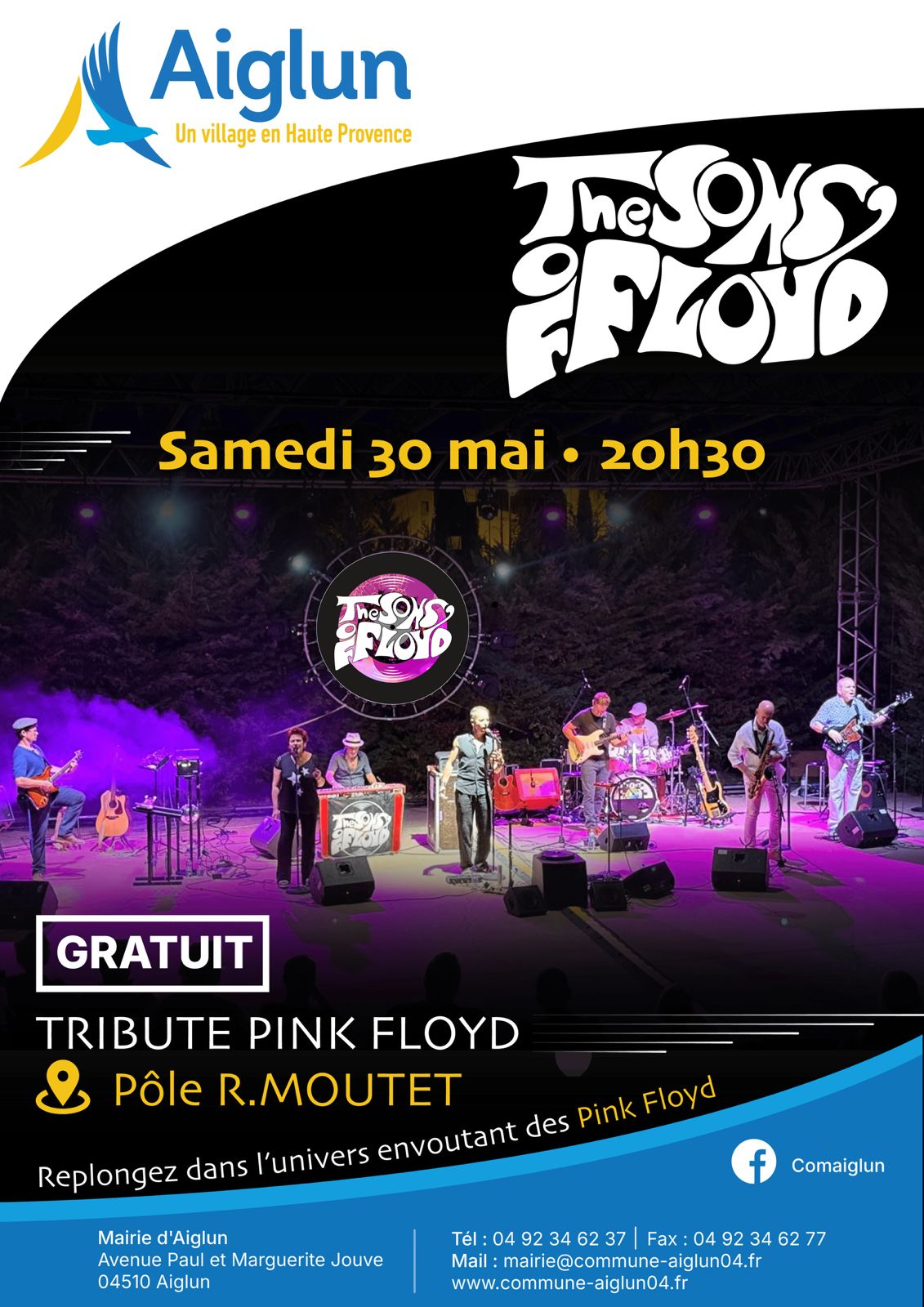 Concert Tribute Pink Floyd