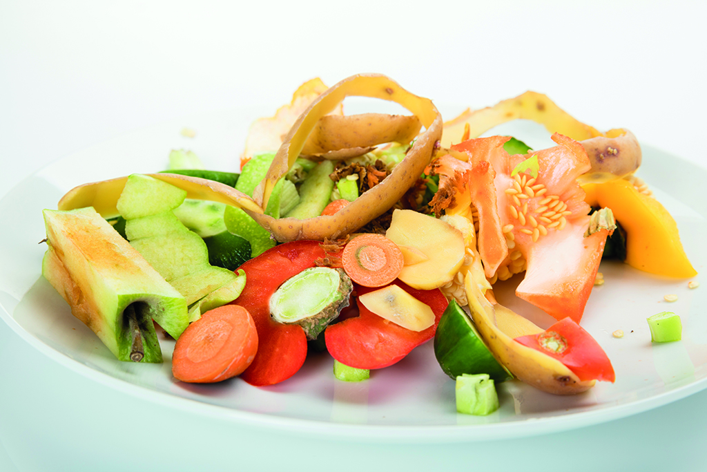 Visite guid�e du domaine des 3B et initiation � la cuisine des �pluchures