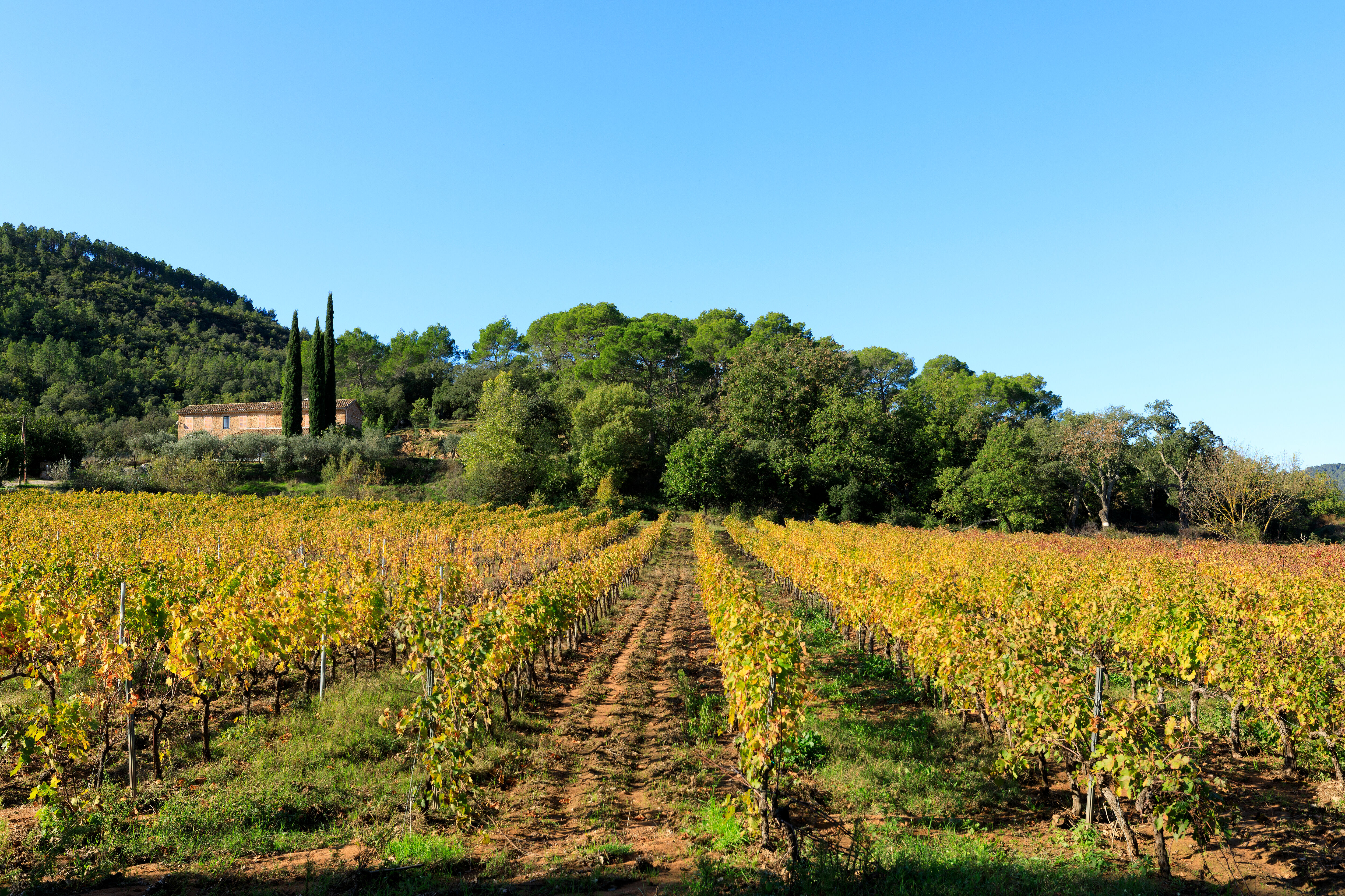 Balade sensorielle en terre proven�ale