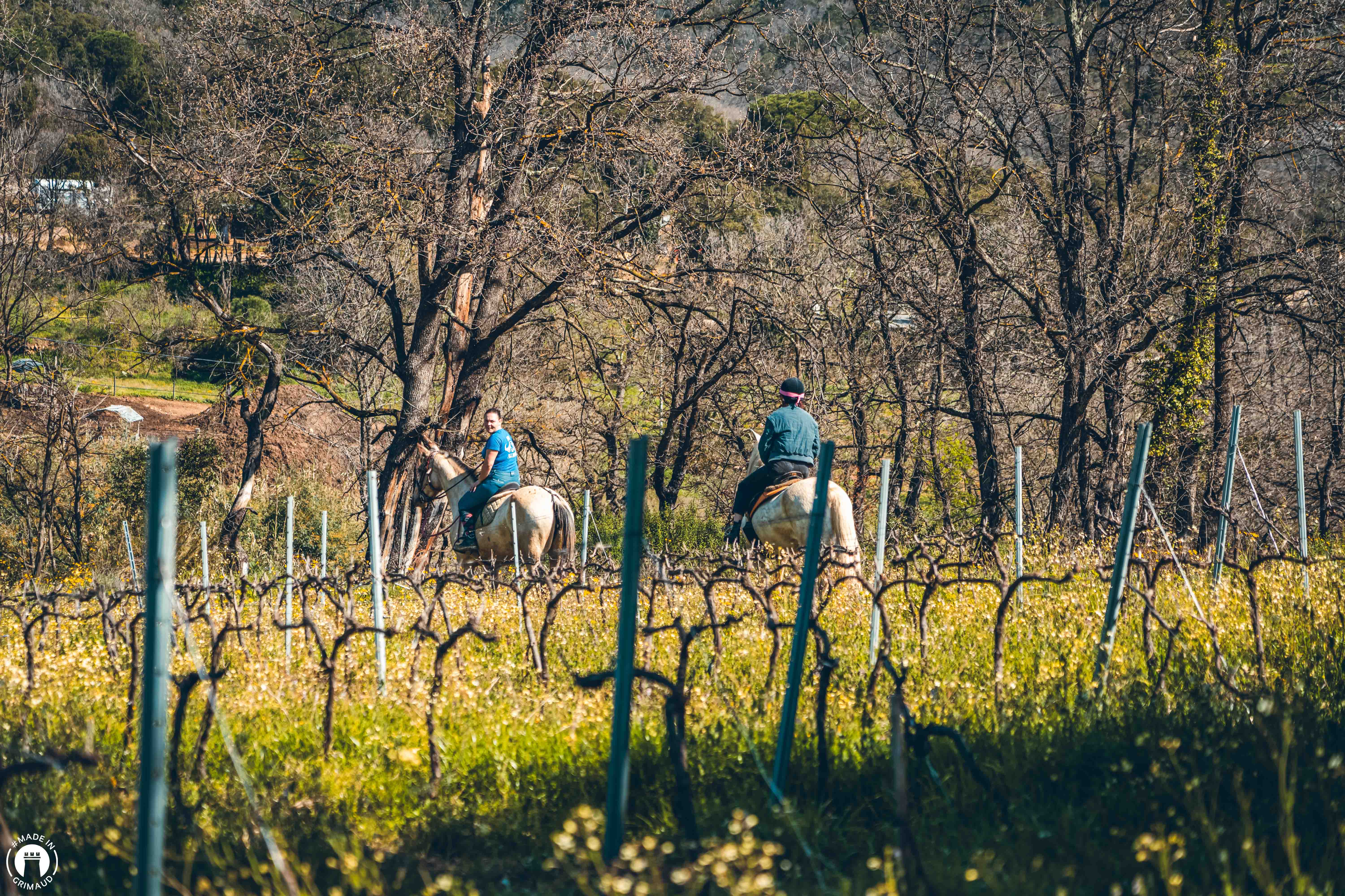 Vacances de P�ques au Ranch la M�ne