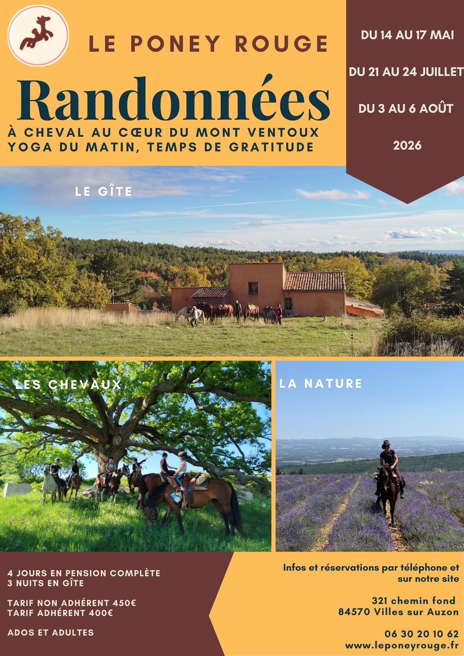 S�jours randonn�es � cheval et yoga avec le Poney Rouge