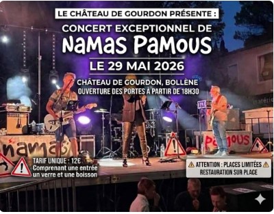 Concert des Namas Pamous