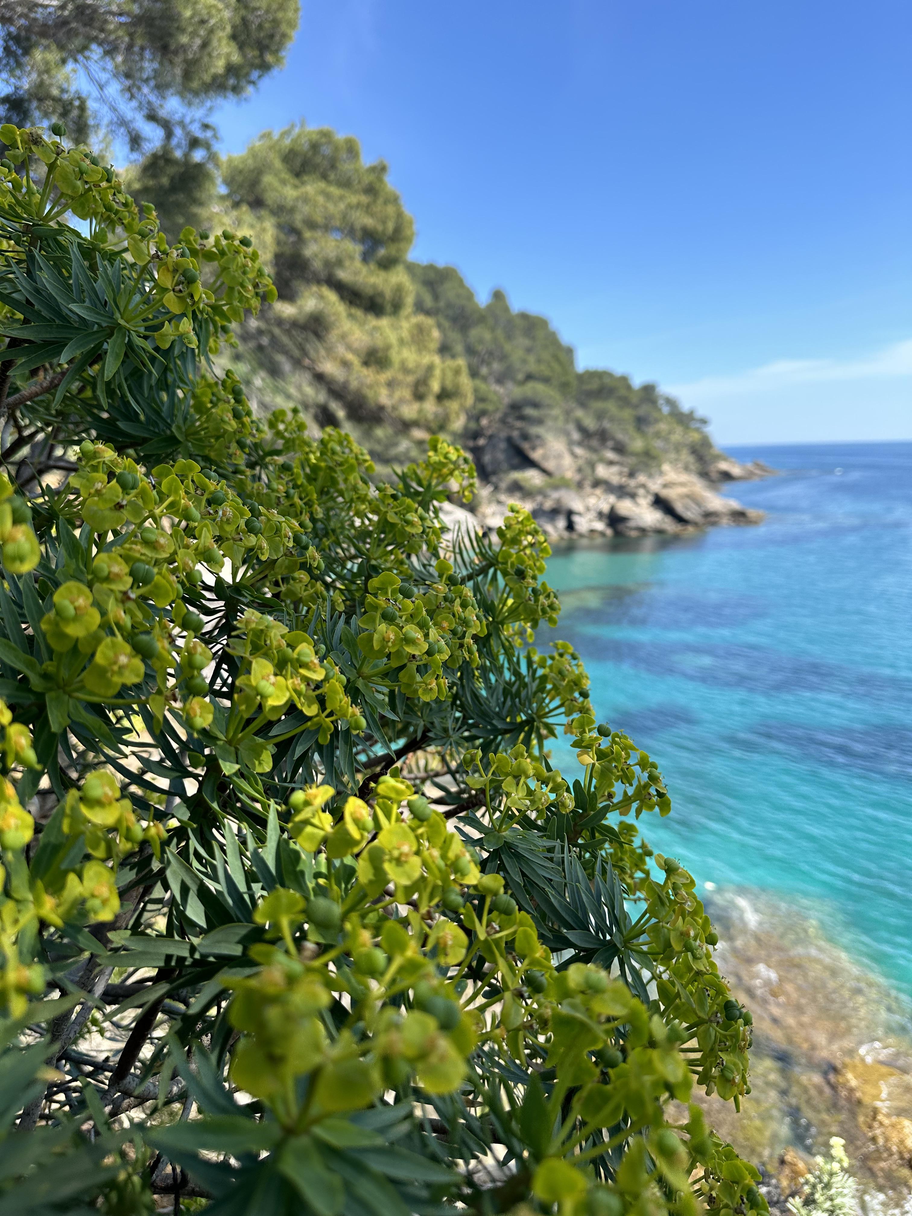 Visite th�matique 