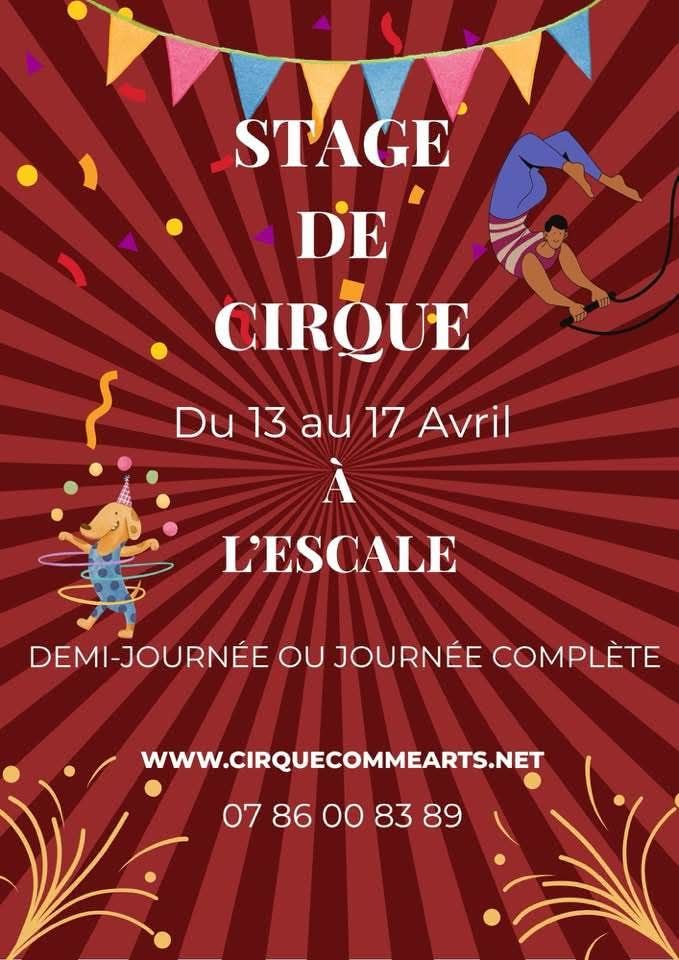 Stage de cirque