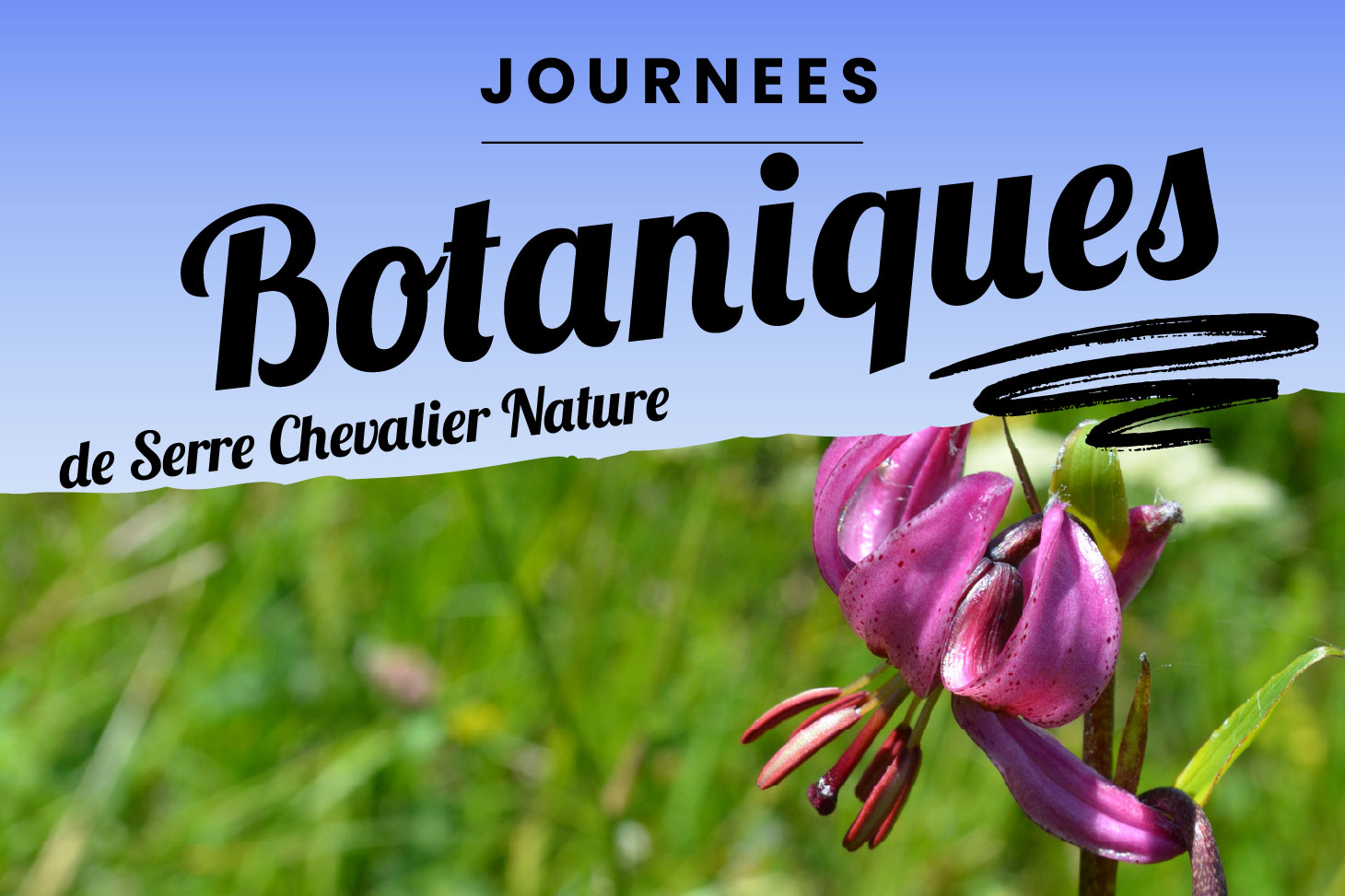 Conf�rence : balade botanique sur les pentes du Galibier