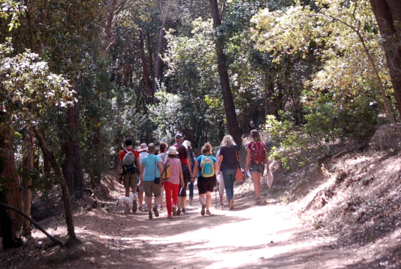 Balade nature et bien-�tre � Giens