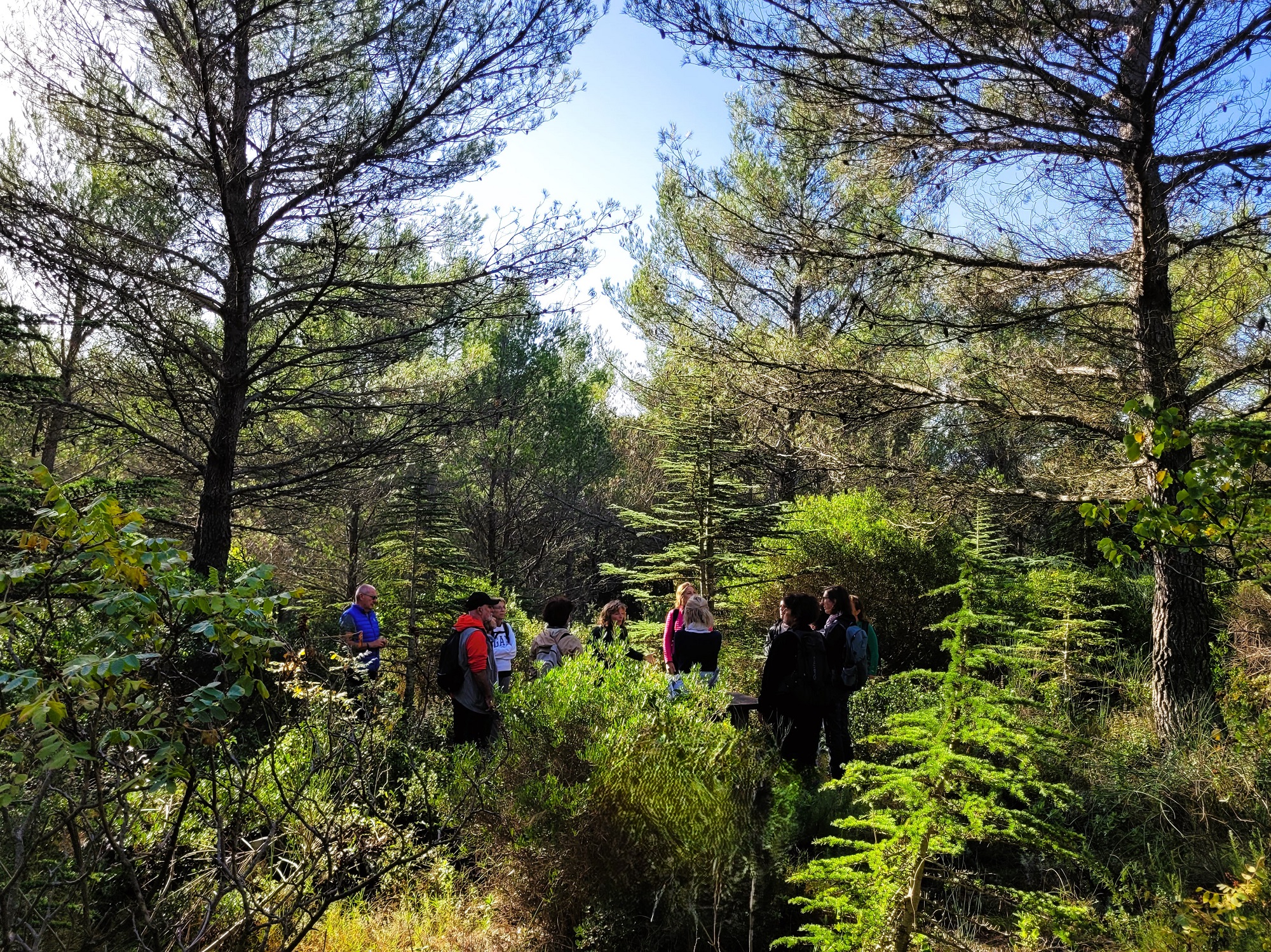 Balade immersive au Mont Faron - F�te de la nature 2026