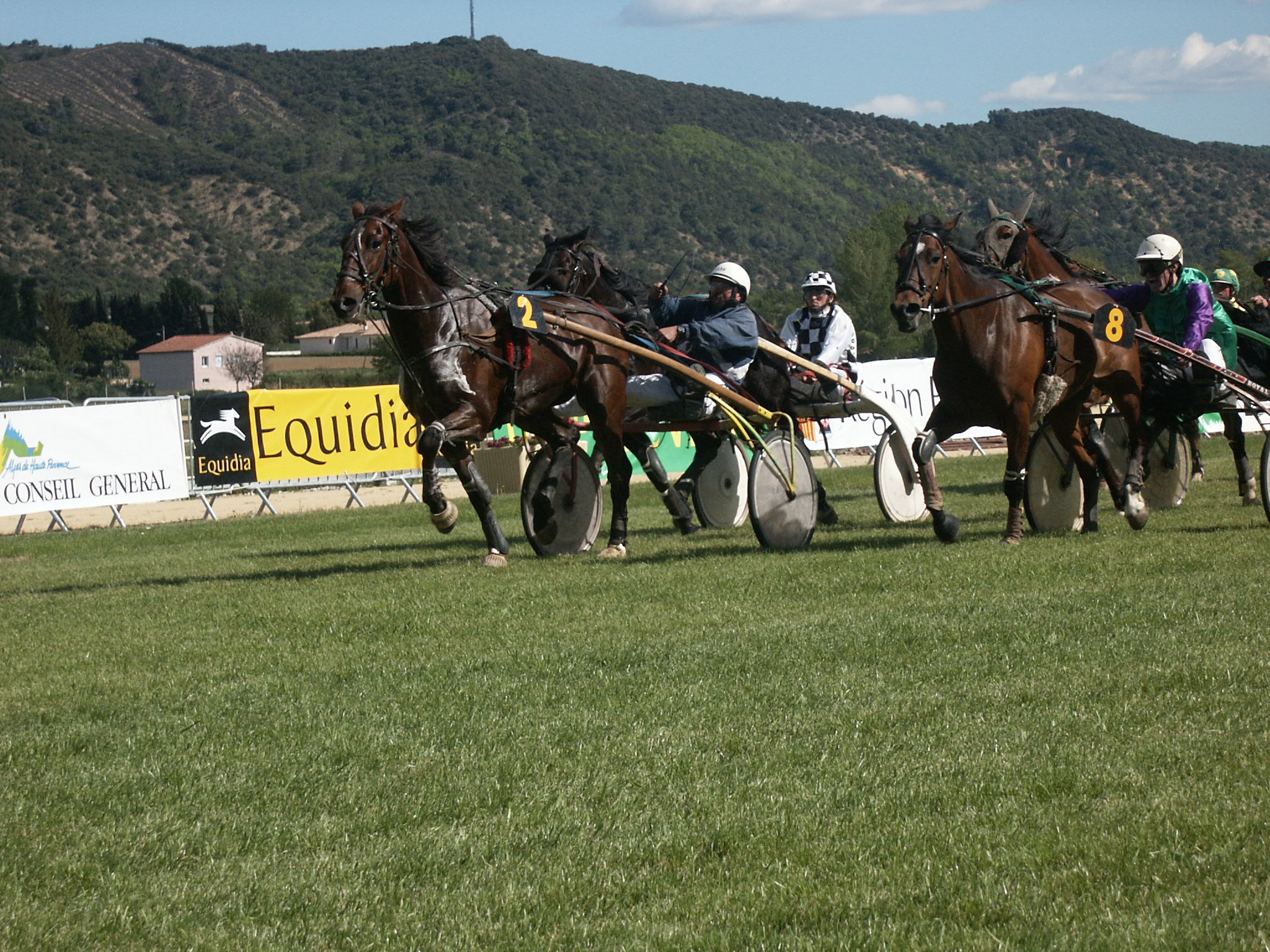 Courses hippiques