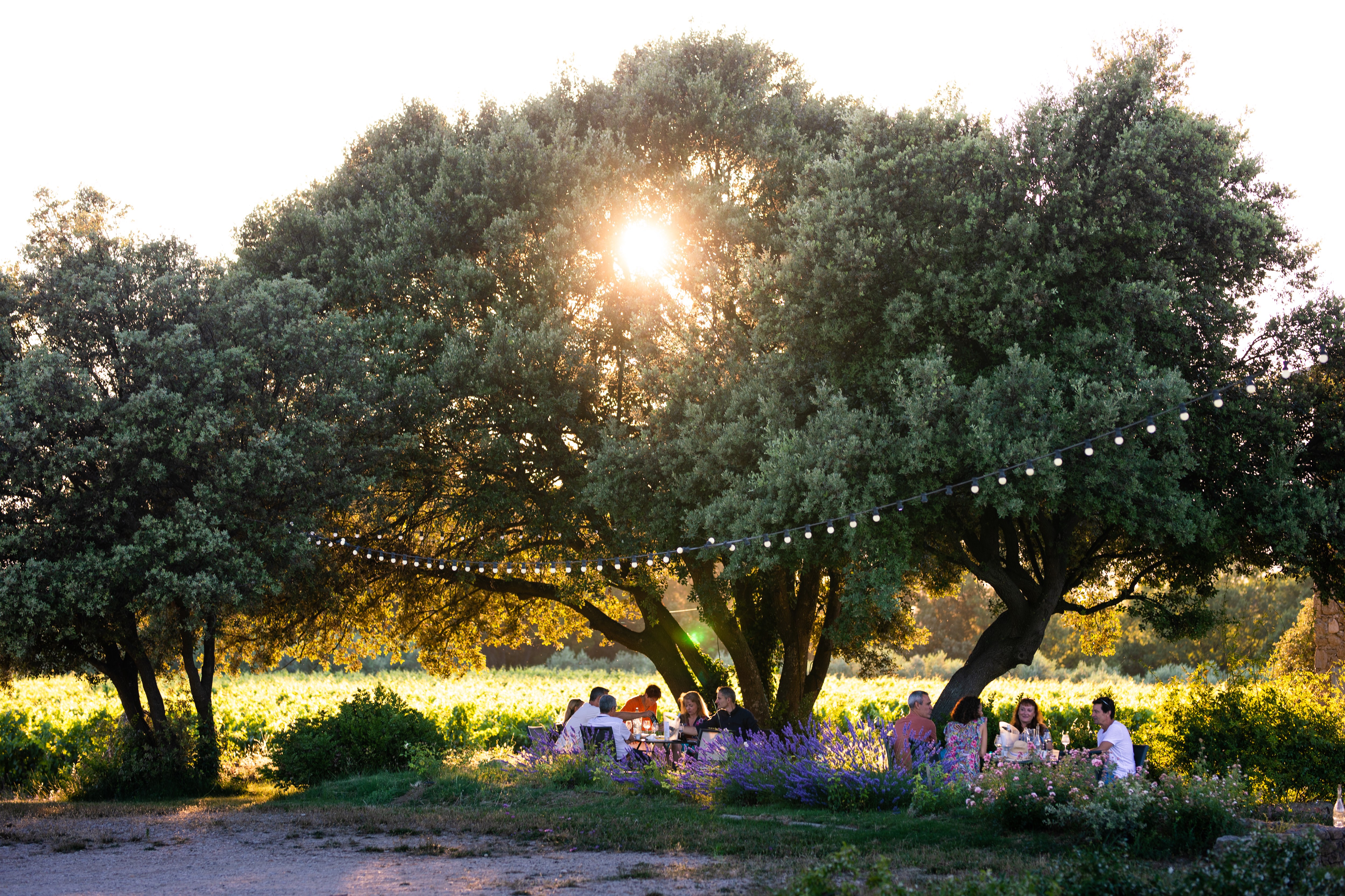 Les Estivales des Perpetus � La Tour d'Aigues