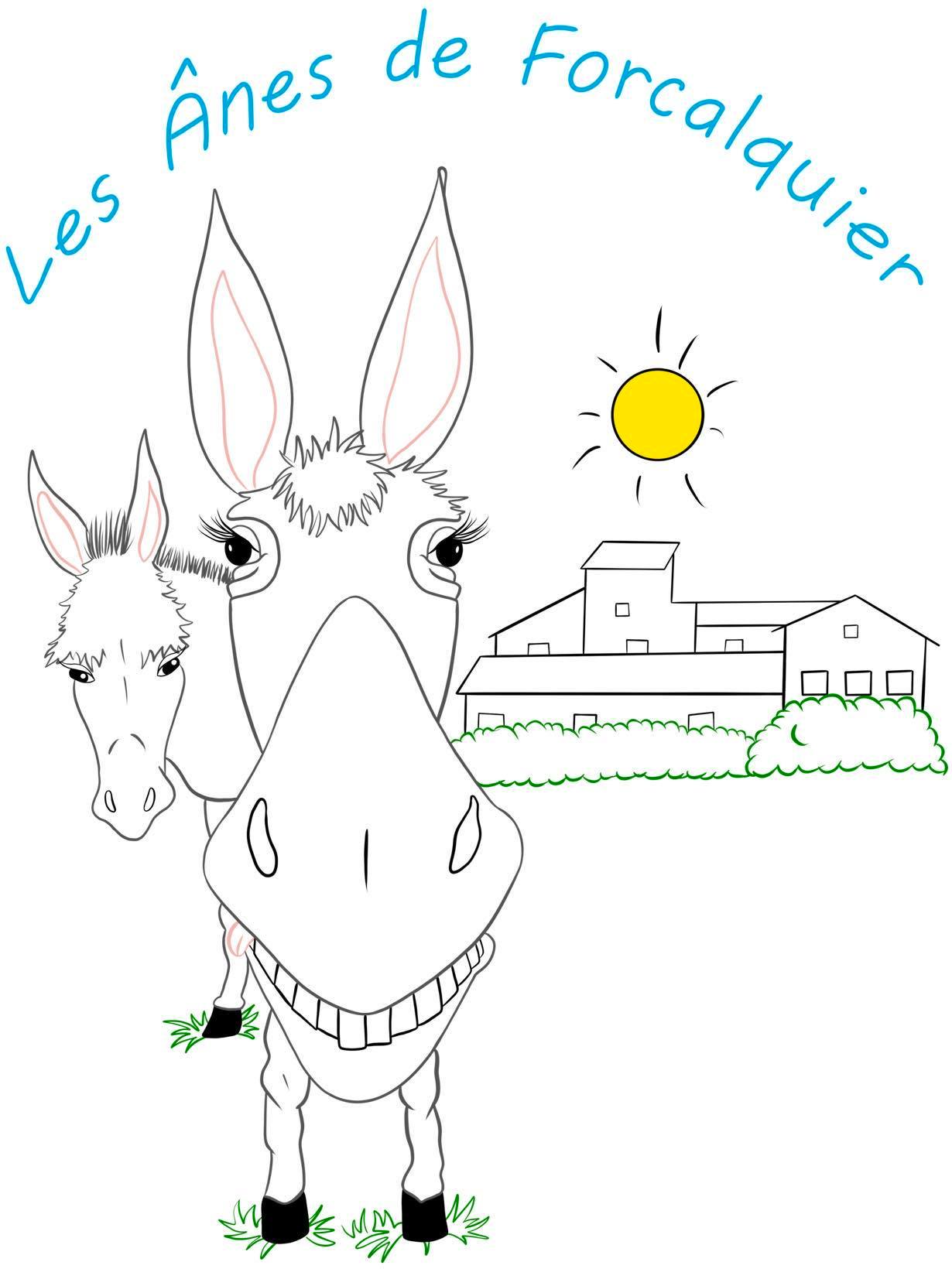 Randonn�es libres avec un �ne