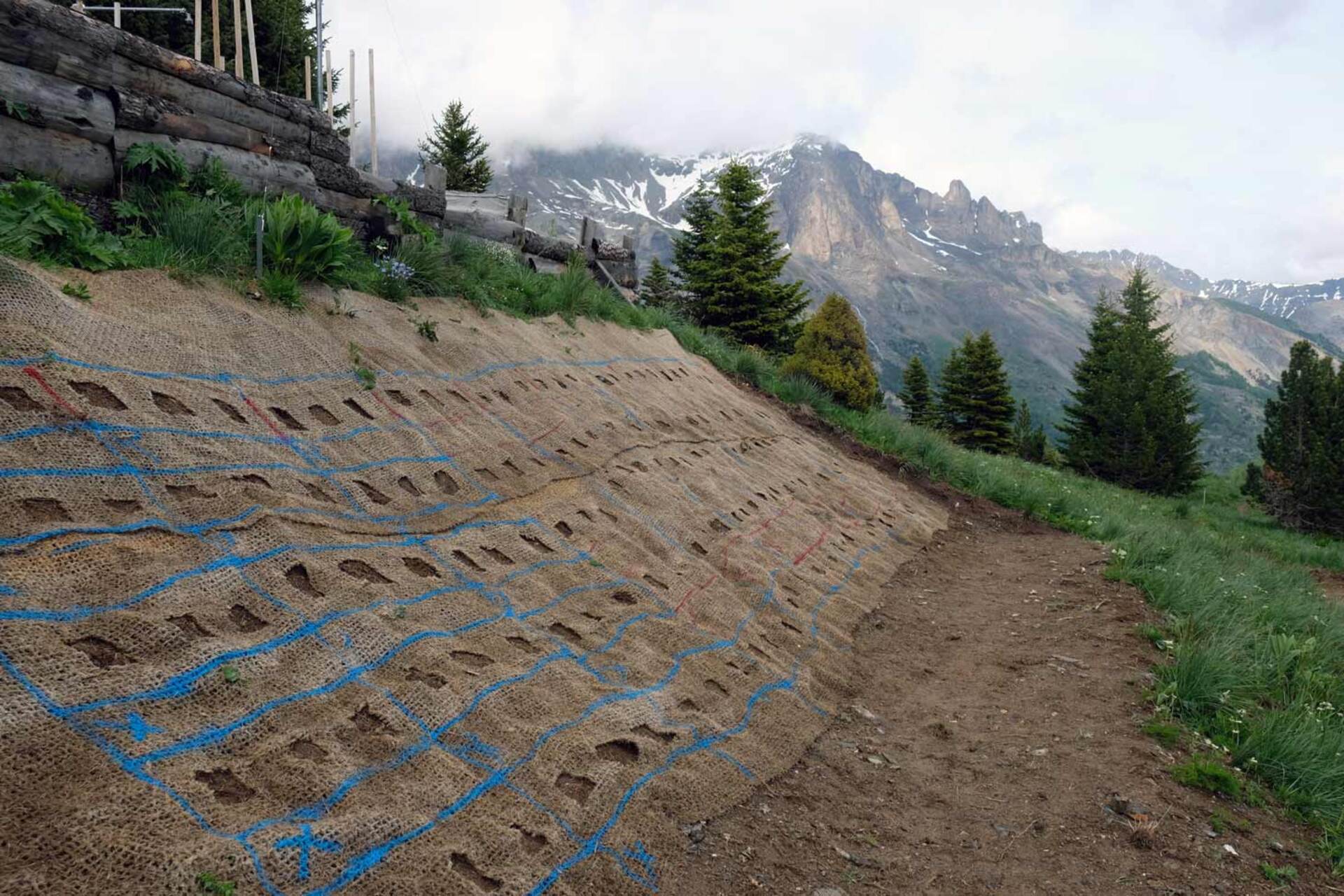 Conf�rence - Restaurer les talus de montagne, semences sauvages ou commerciales ?