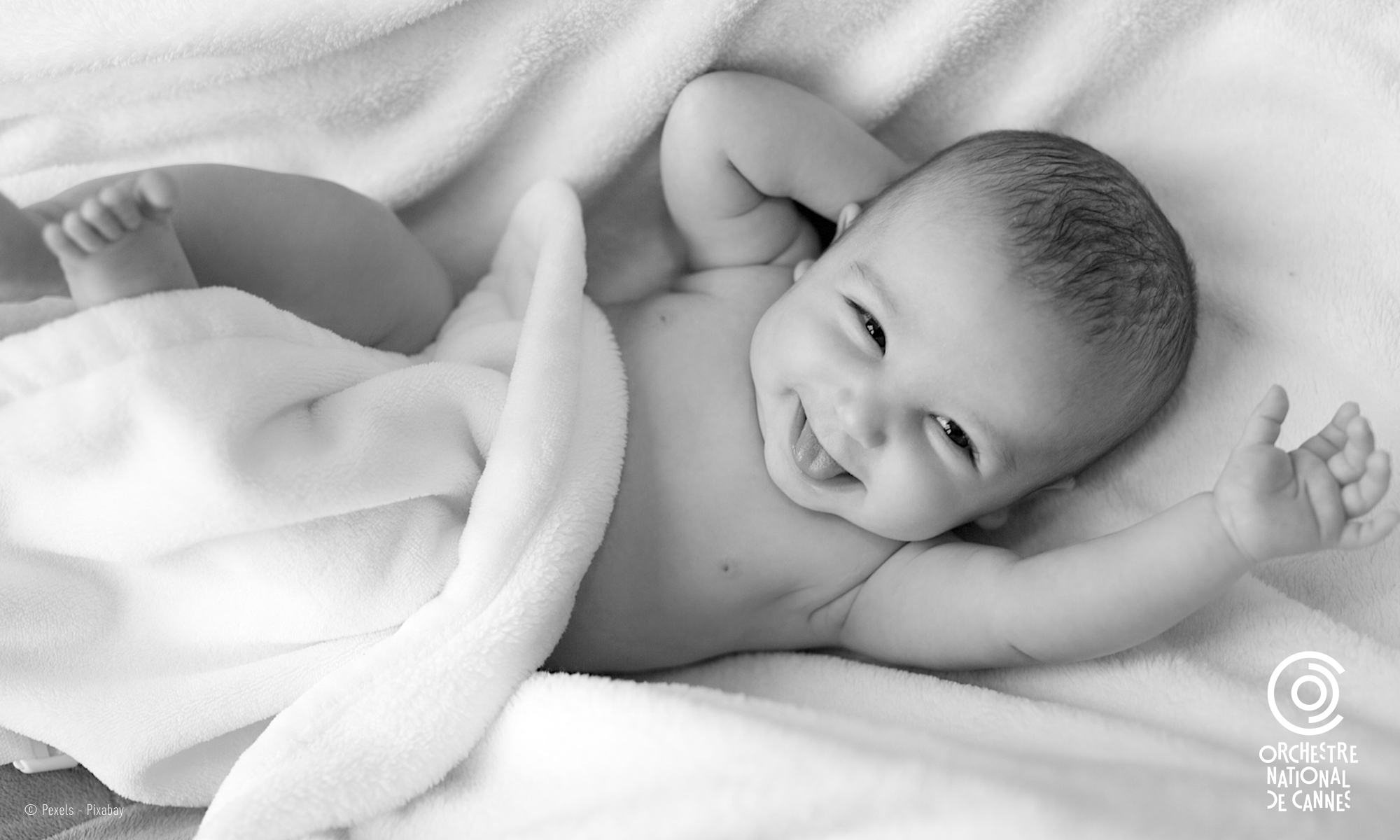 Baby concerts - Direction Kyrian Friedenberg