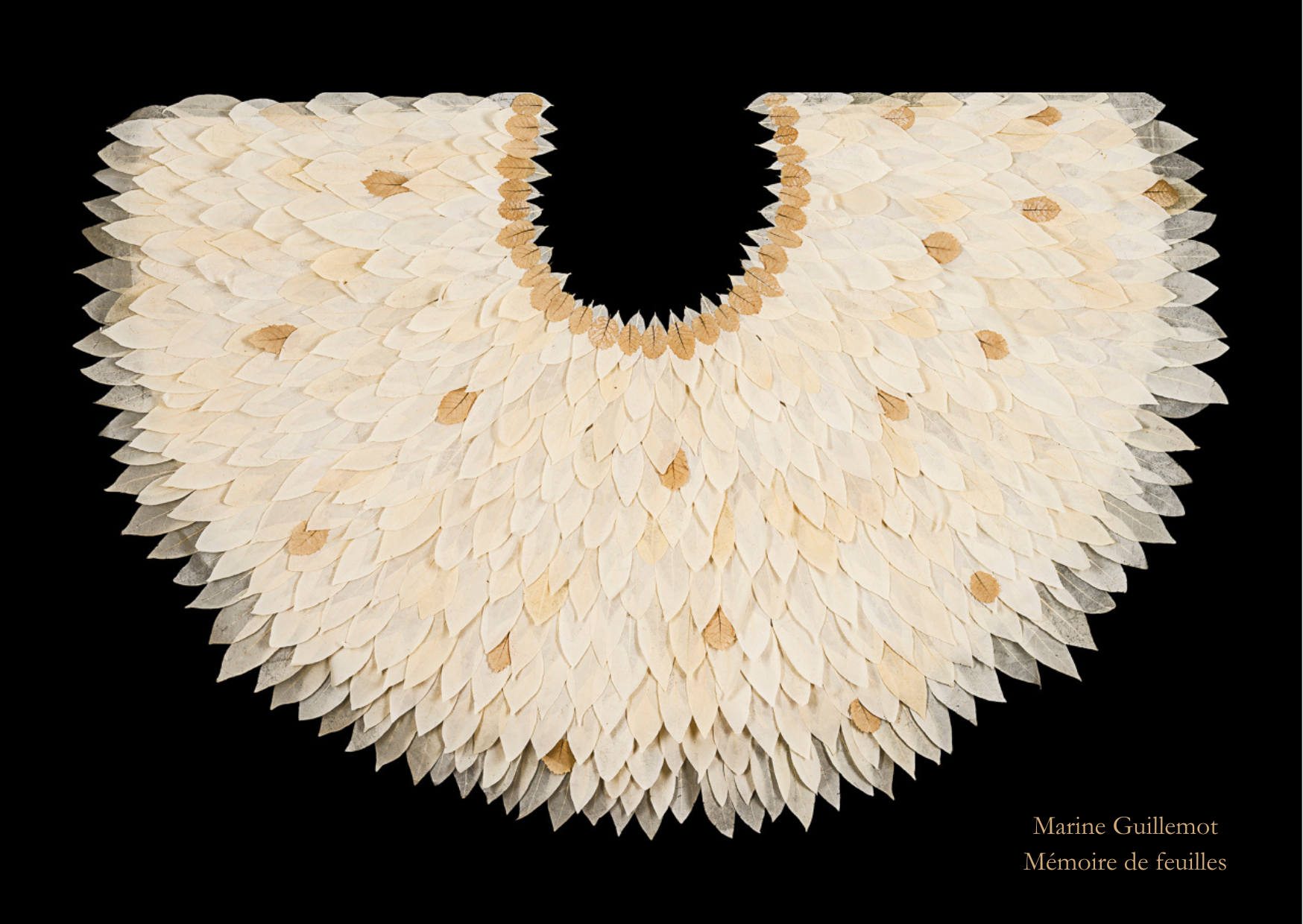Visite guid�e flash de l'exposition 