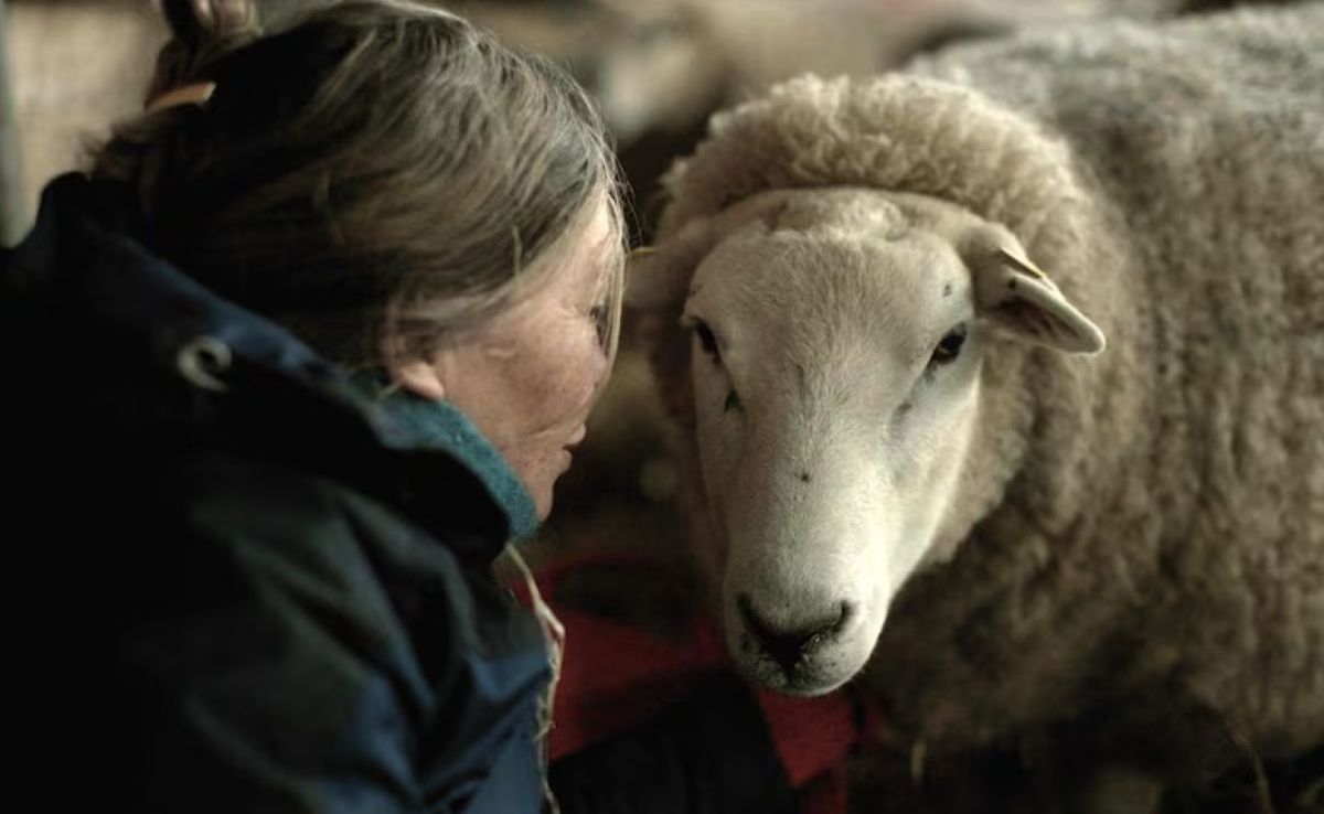 Rencontre culturelle : Projection de 