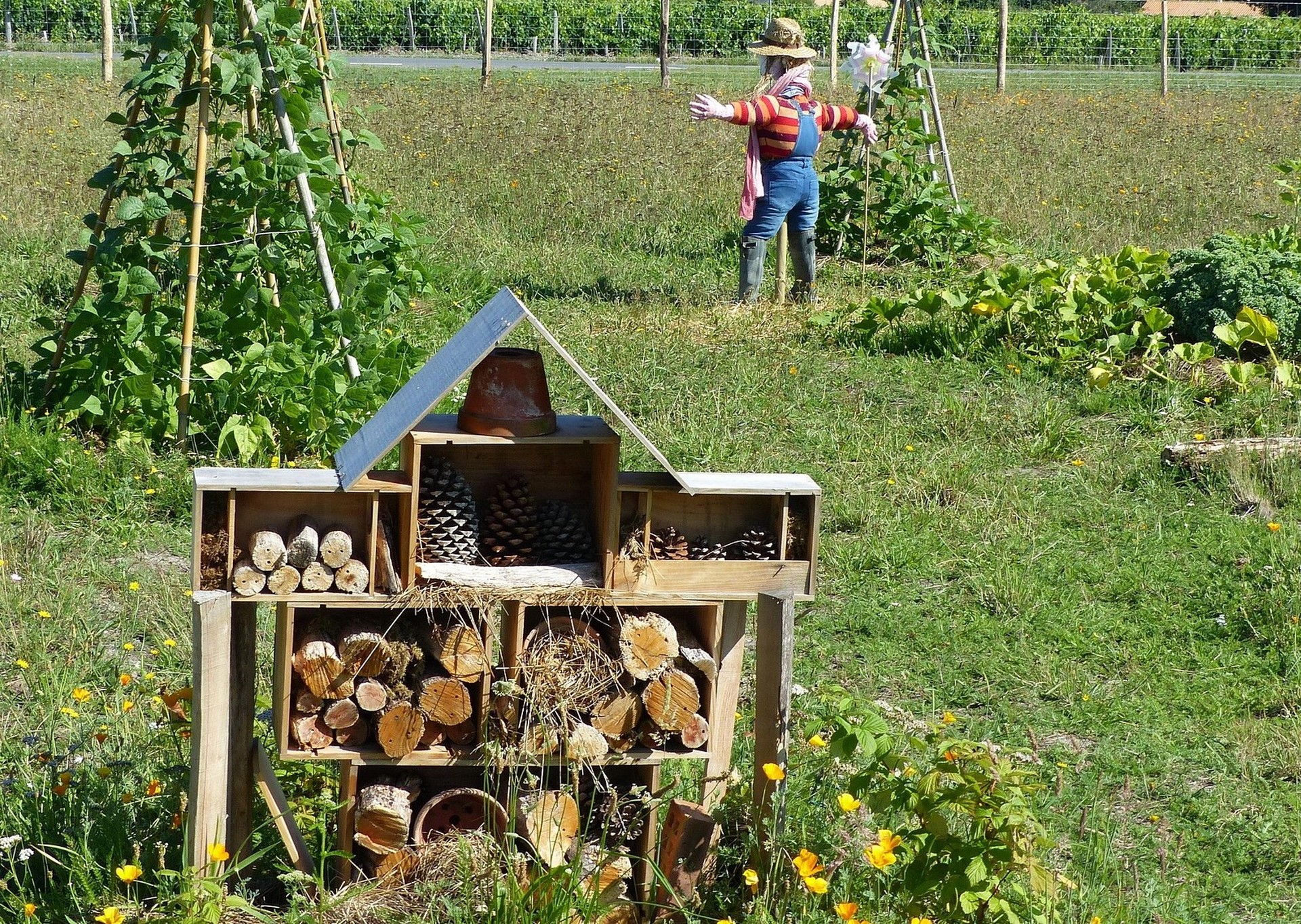 Fabrication d'h�tel � insectes et d�couverte