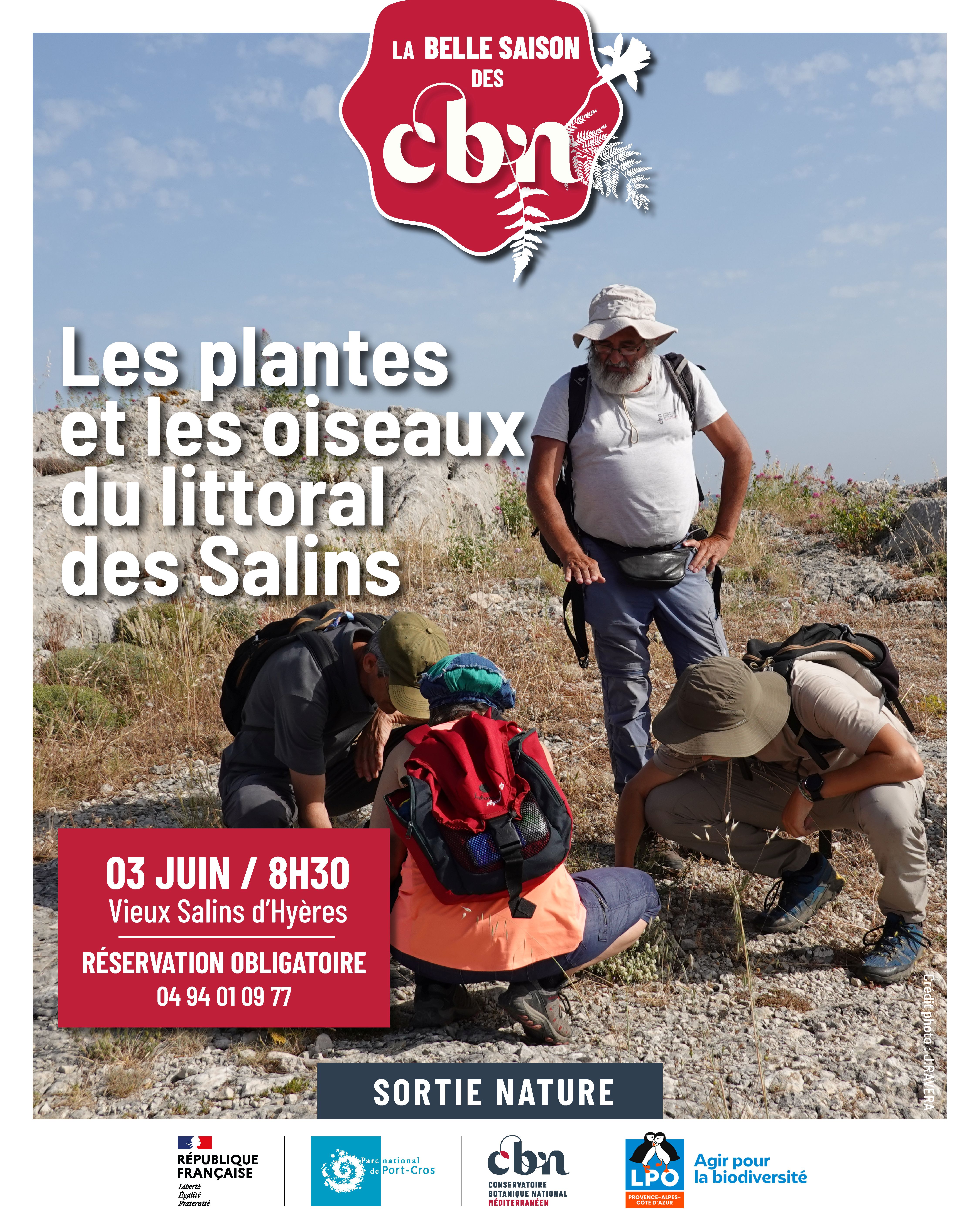 Balade nature - Les plantes et les oiseaux du littoral des Salins