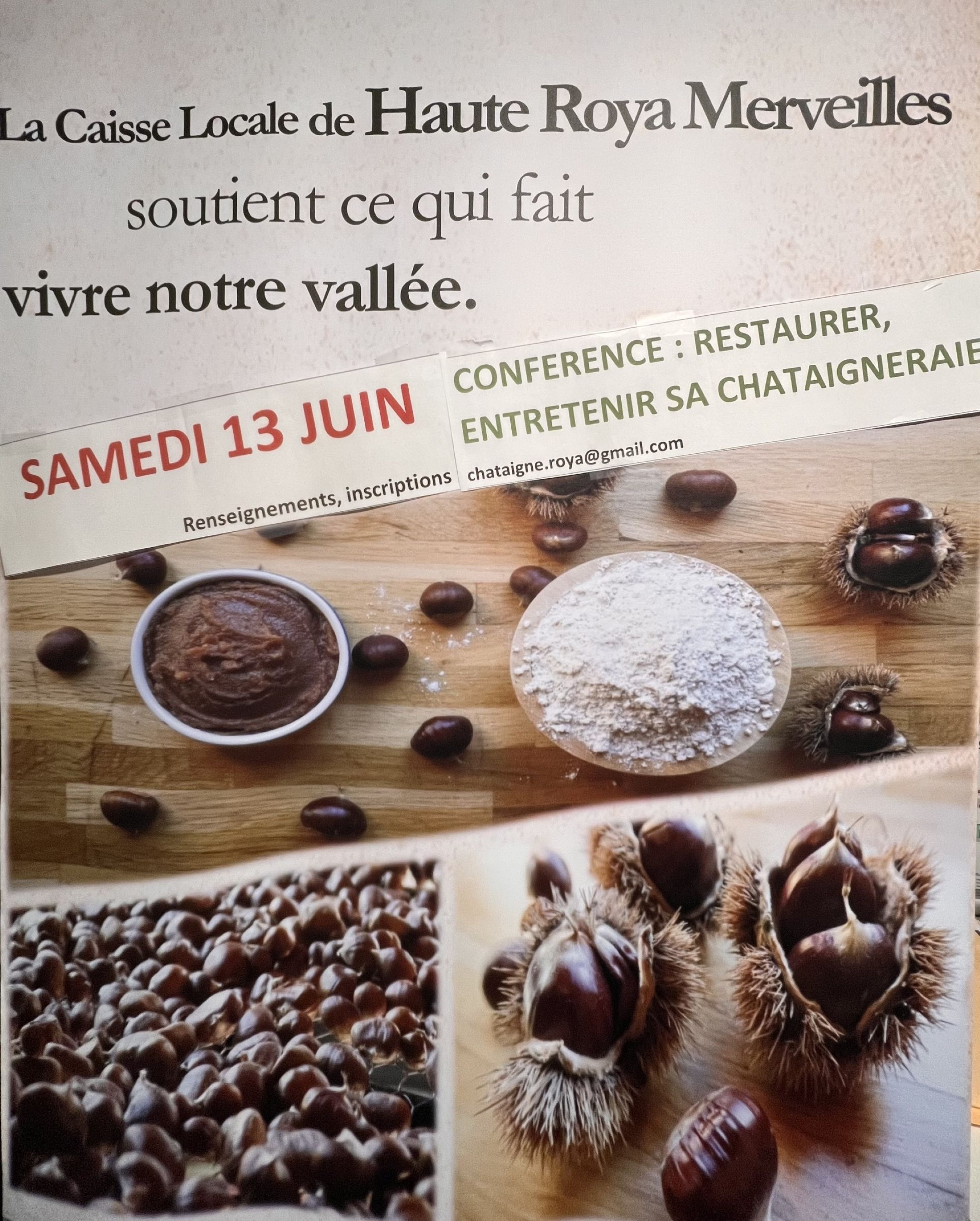Restaurer et entretenir sa chataignerie