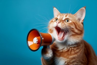 La Voix des Chats journ�e caricative
