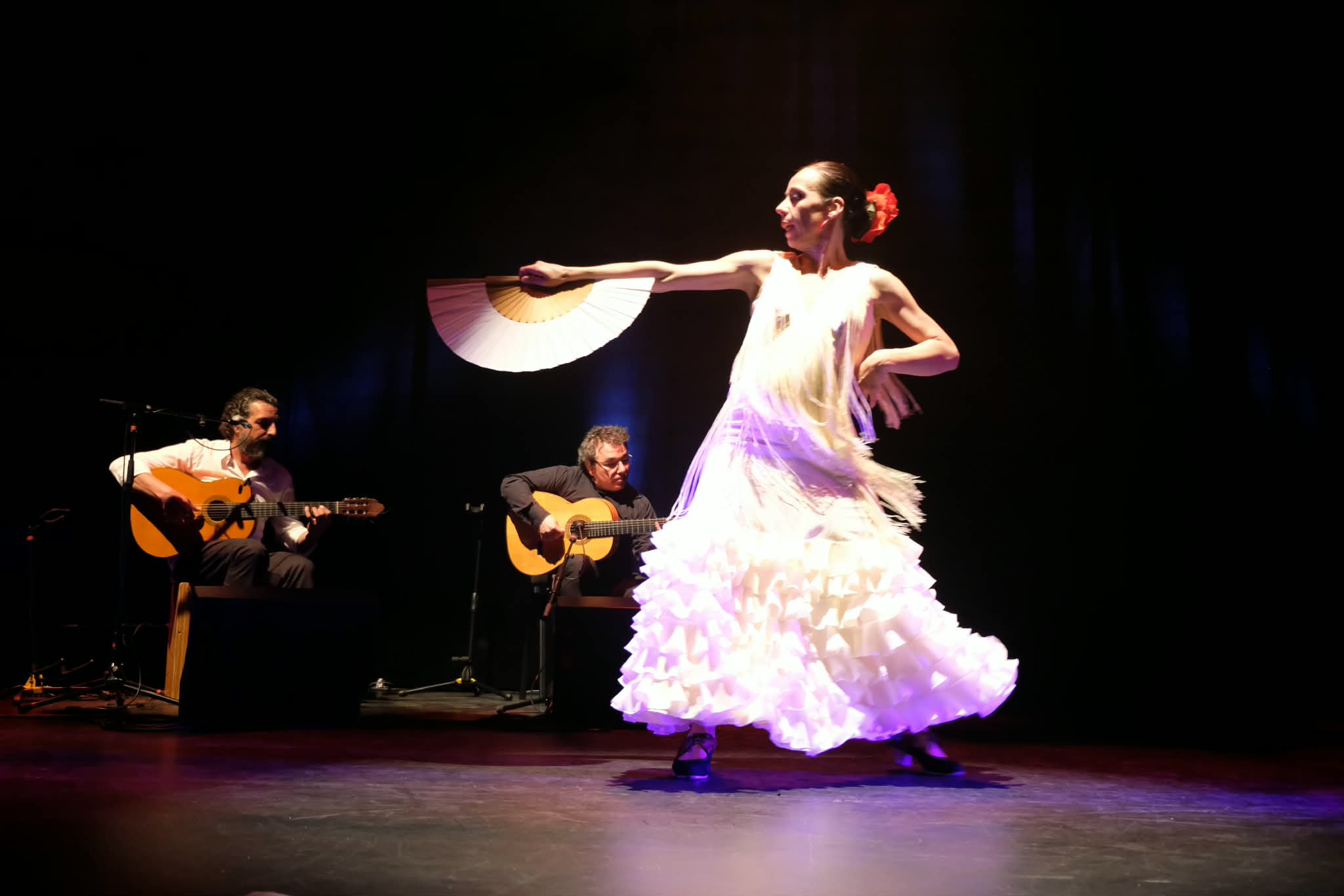 Spectacle Flamenco 