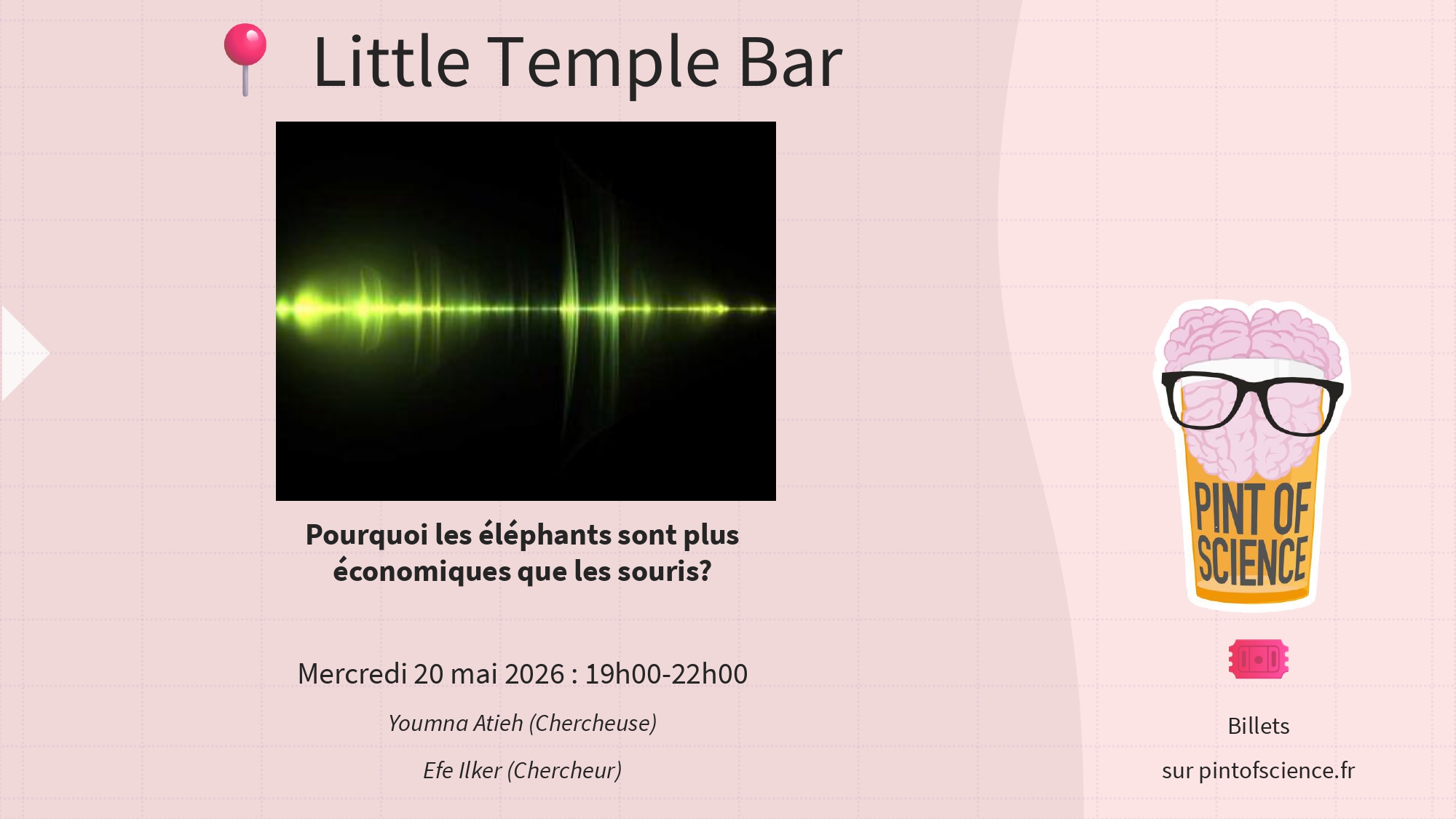 Pourquoi les �l�phants sont plus �conomiques que les souris ? - Pint of Science 2026