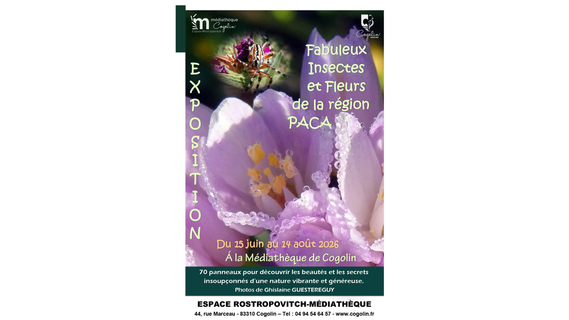Exposition 