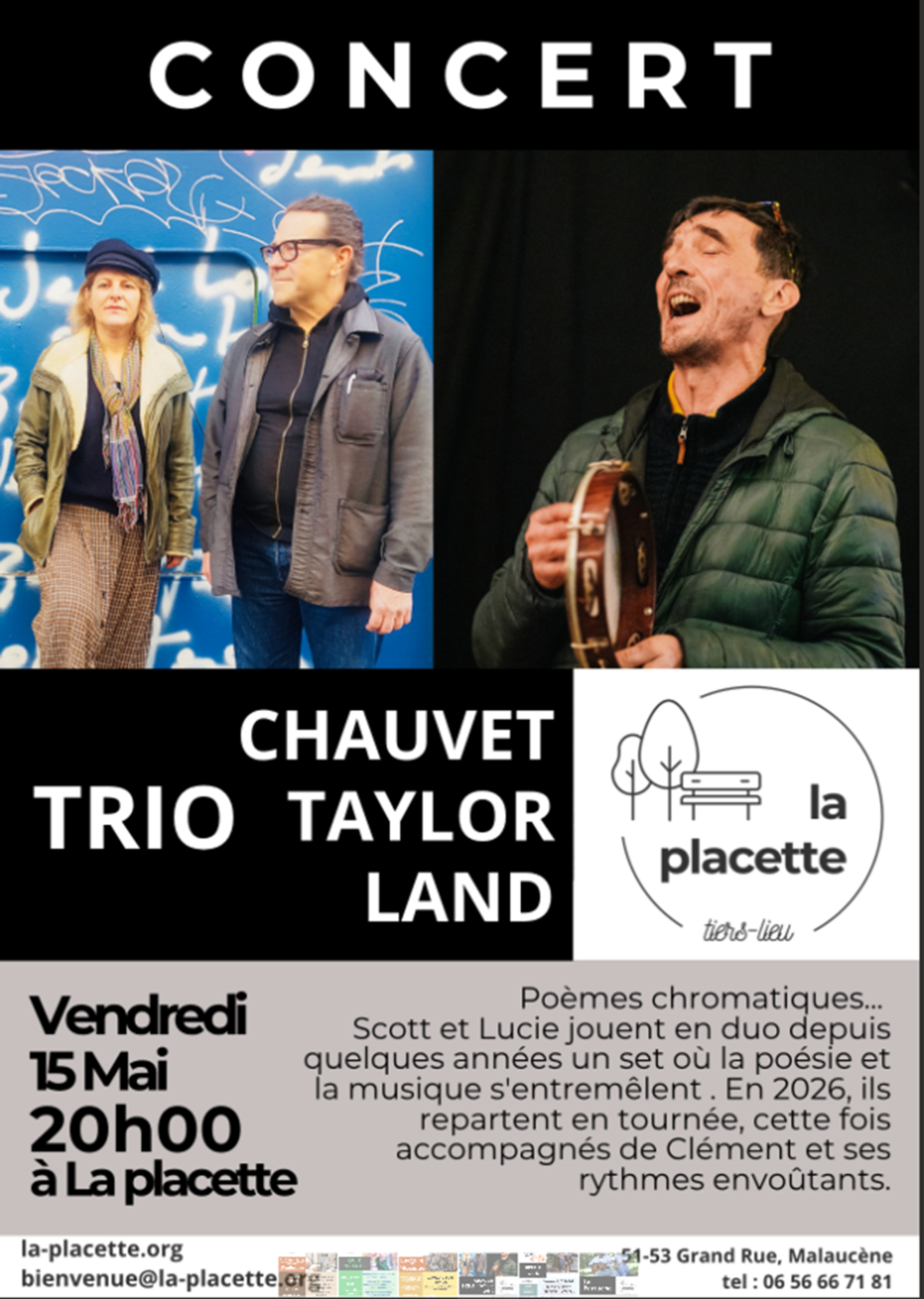 Concert du Trio Chauvet Taylor Land