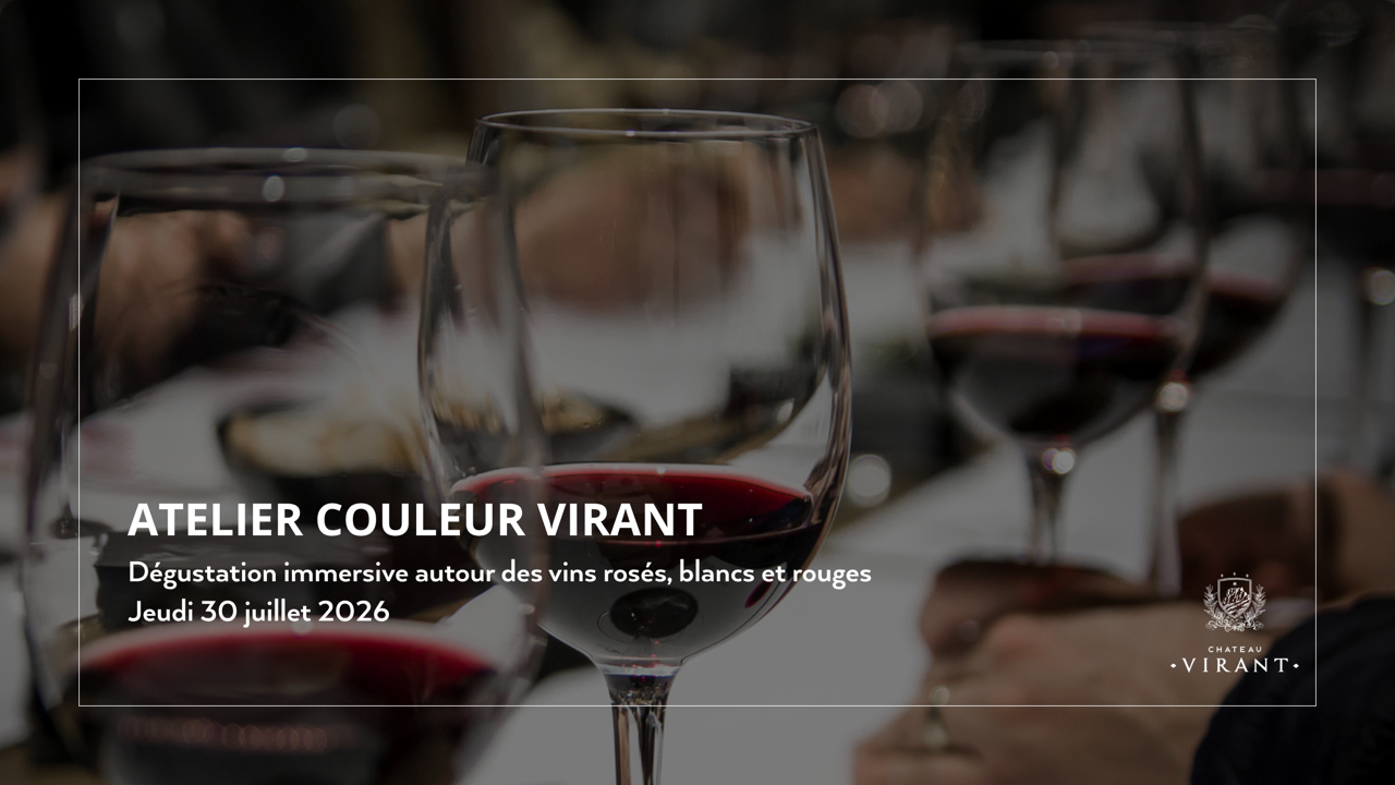 D�gustation des vins du domaine (3 couleurs) - Exp�rience p�dagogique
