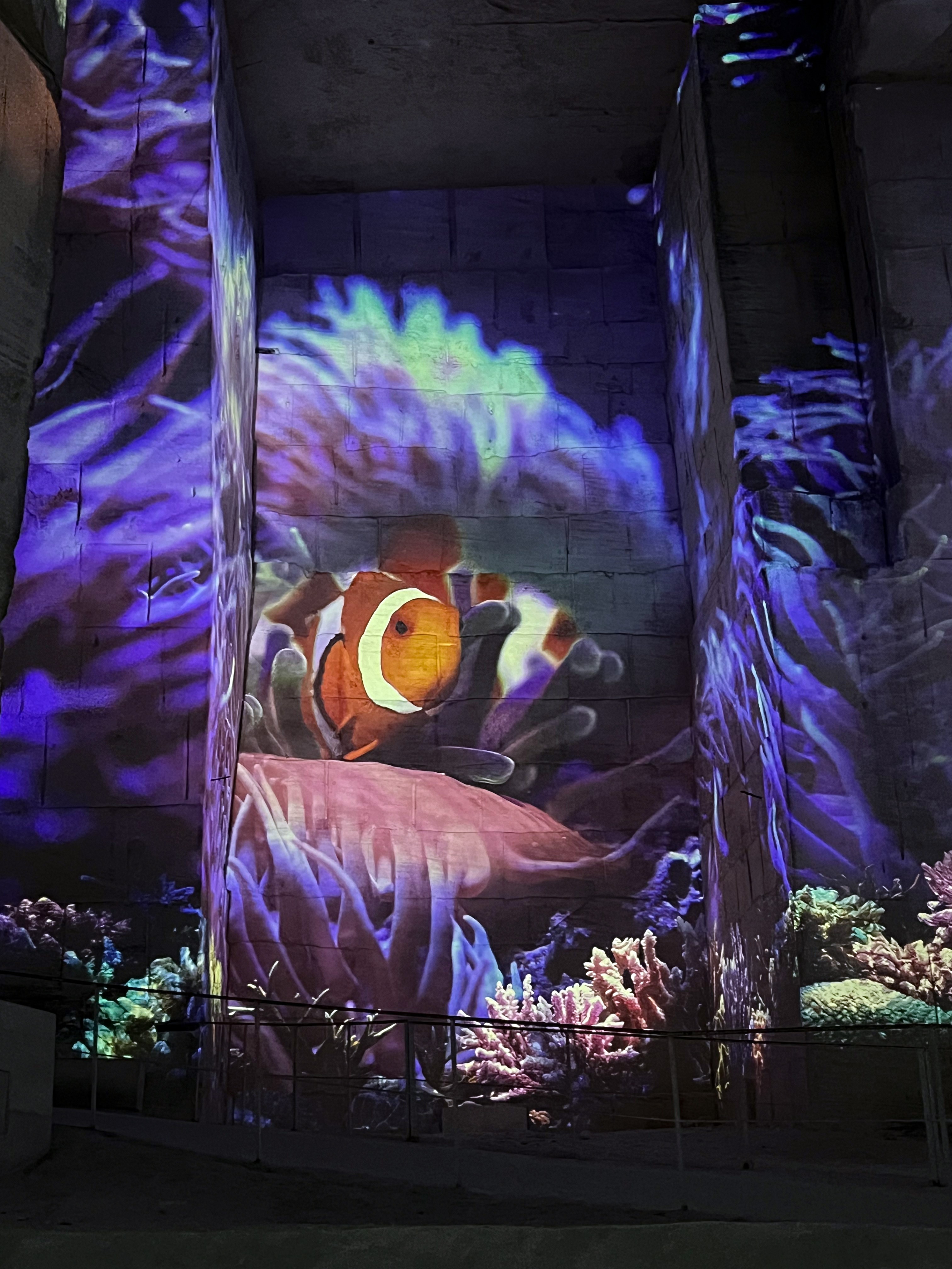Carri�res-des-Lumi�res : Oc�an, immersion dans le monde sous-marin
