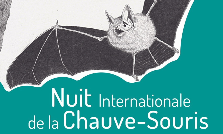 Nuit de la chauve-souris � Boscodon