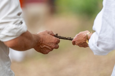 Balade d�couverte de la biodiversit� en for�t au Domaine de la Blaque | Le Var f�te la Nature