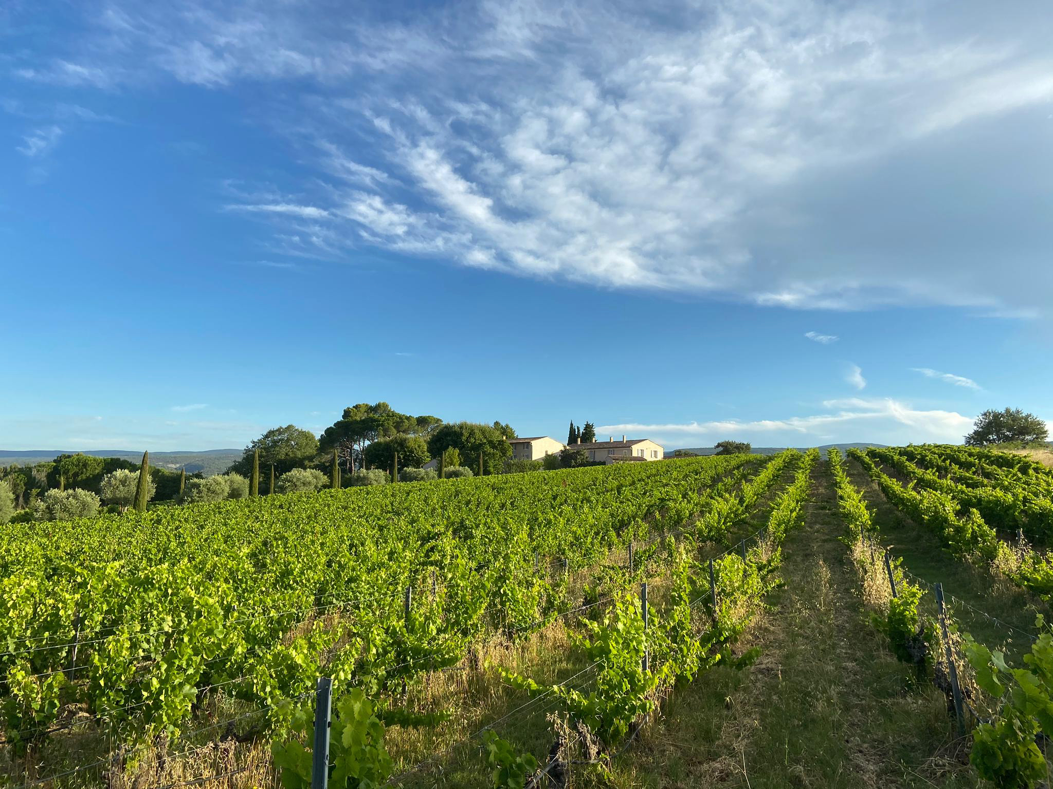 Les coulisses du domaine Perr�al