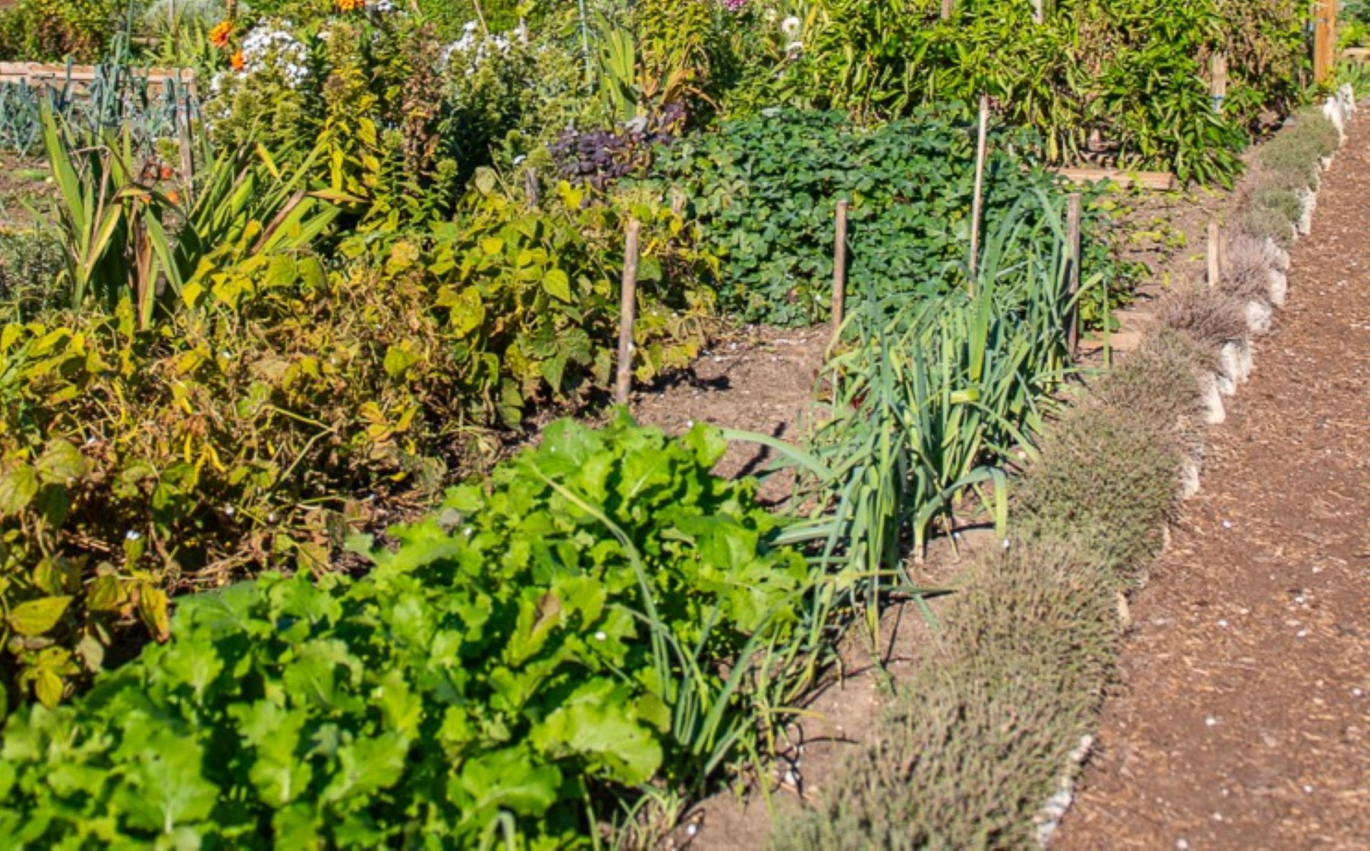 Les rendez-vous du Parc 2026 - Mission goutte � goutte au jardin
