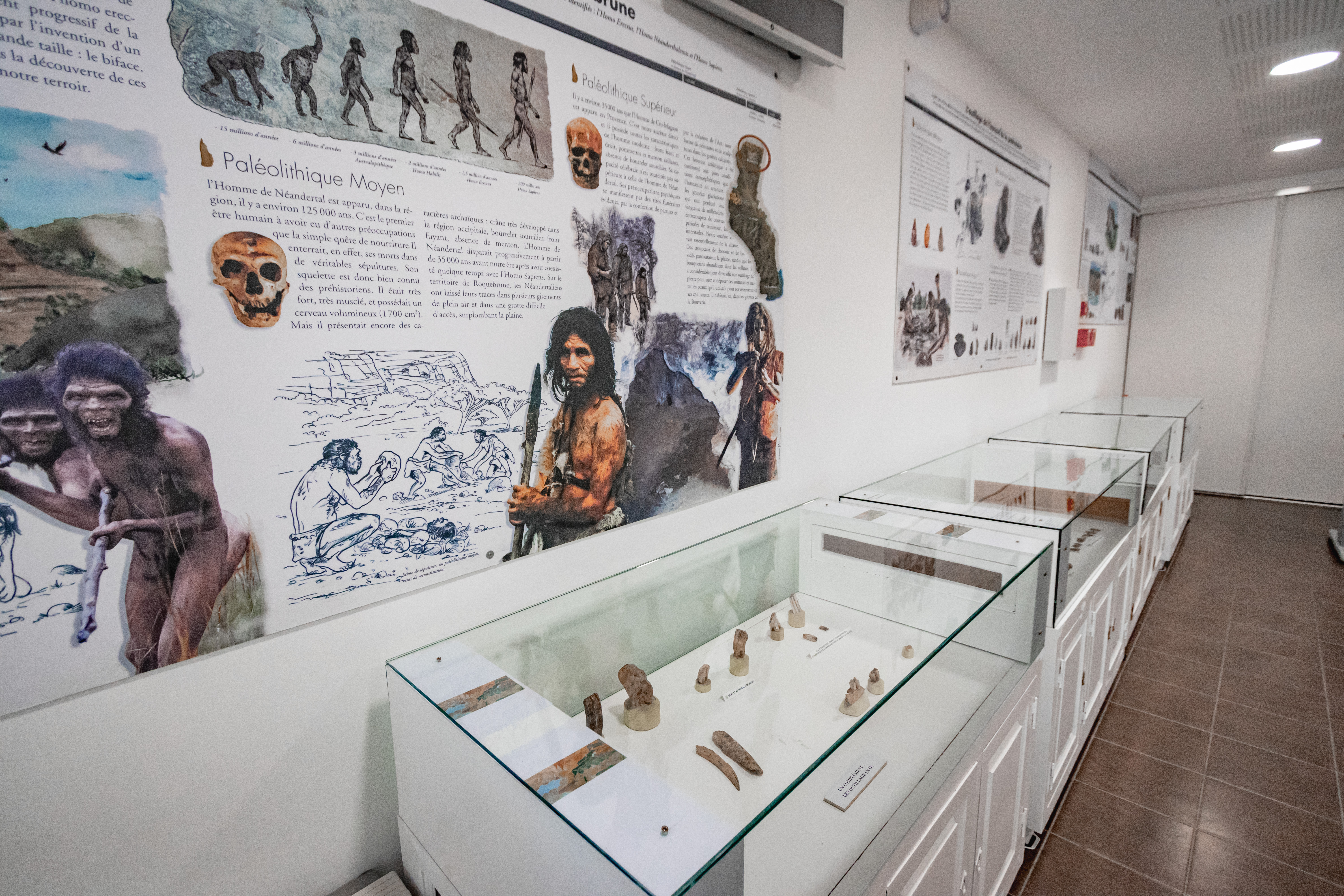 Exposition : N�andertal en Provence