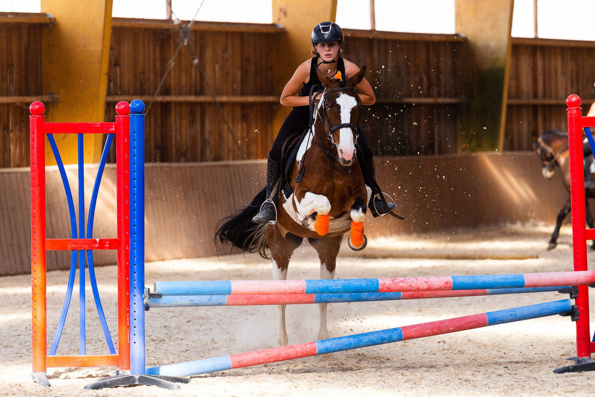 Concours officiel CSO au centre �questre la Feni�re aux M�es