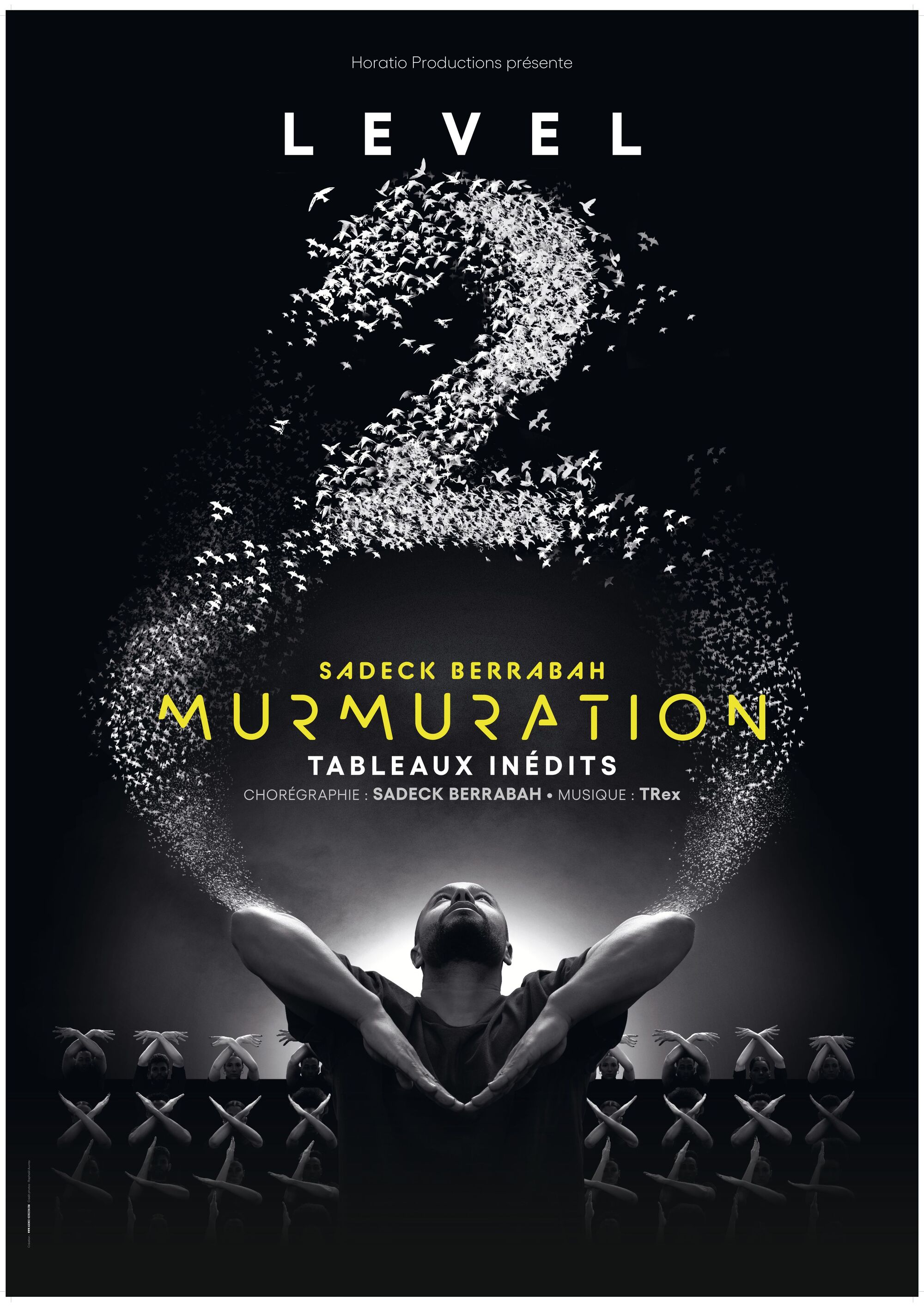 Murmuration - Level 2 - Sadeck Berrabah