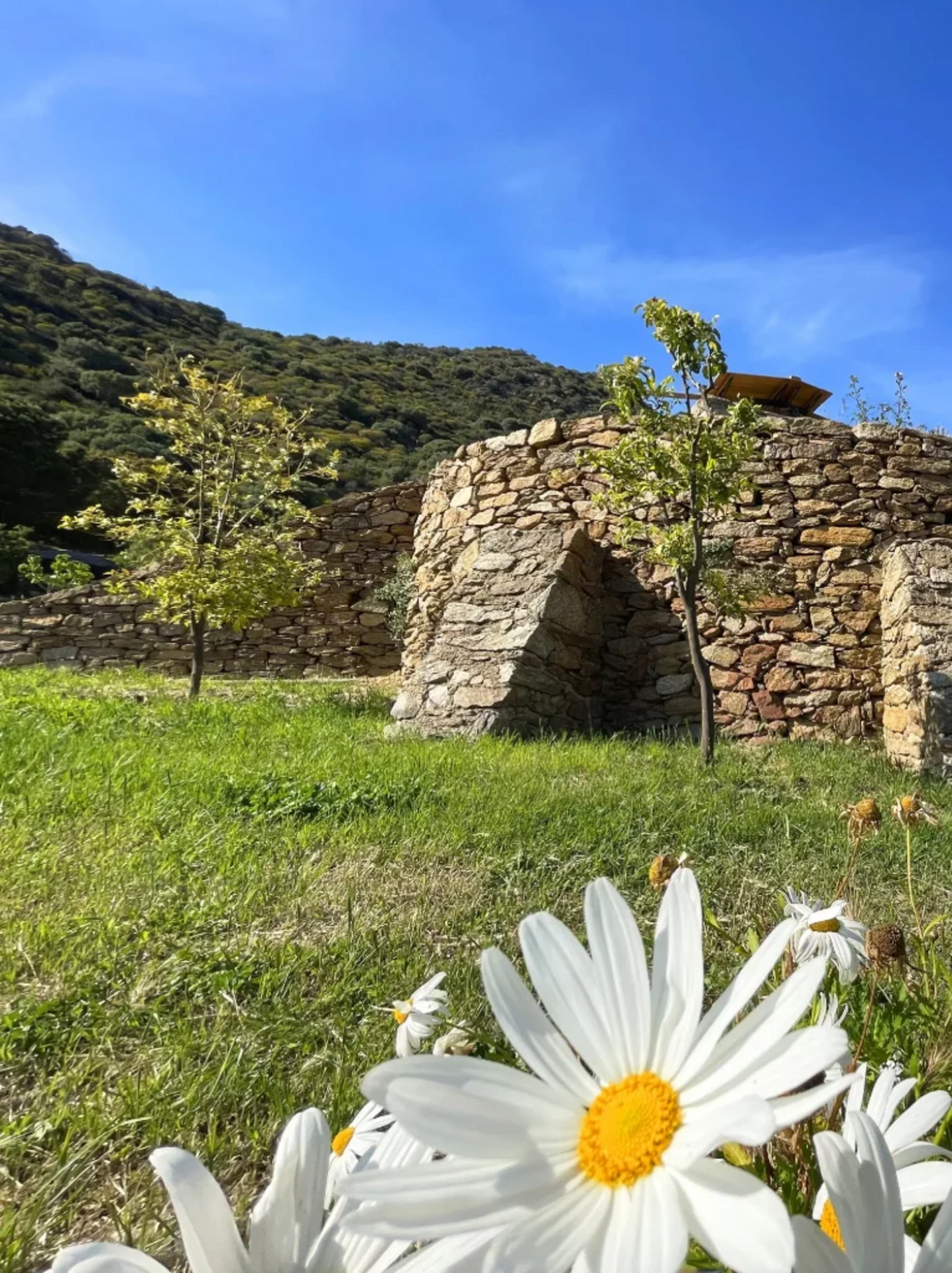 Visite des restanques de Saint-Clair