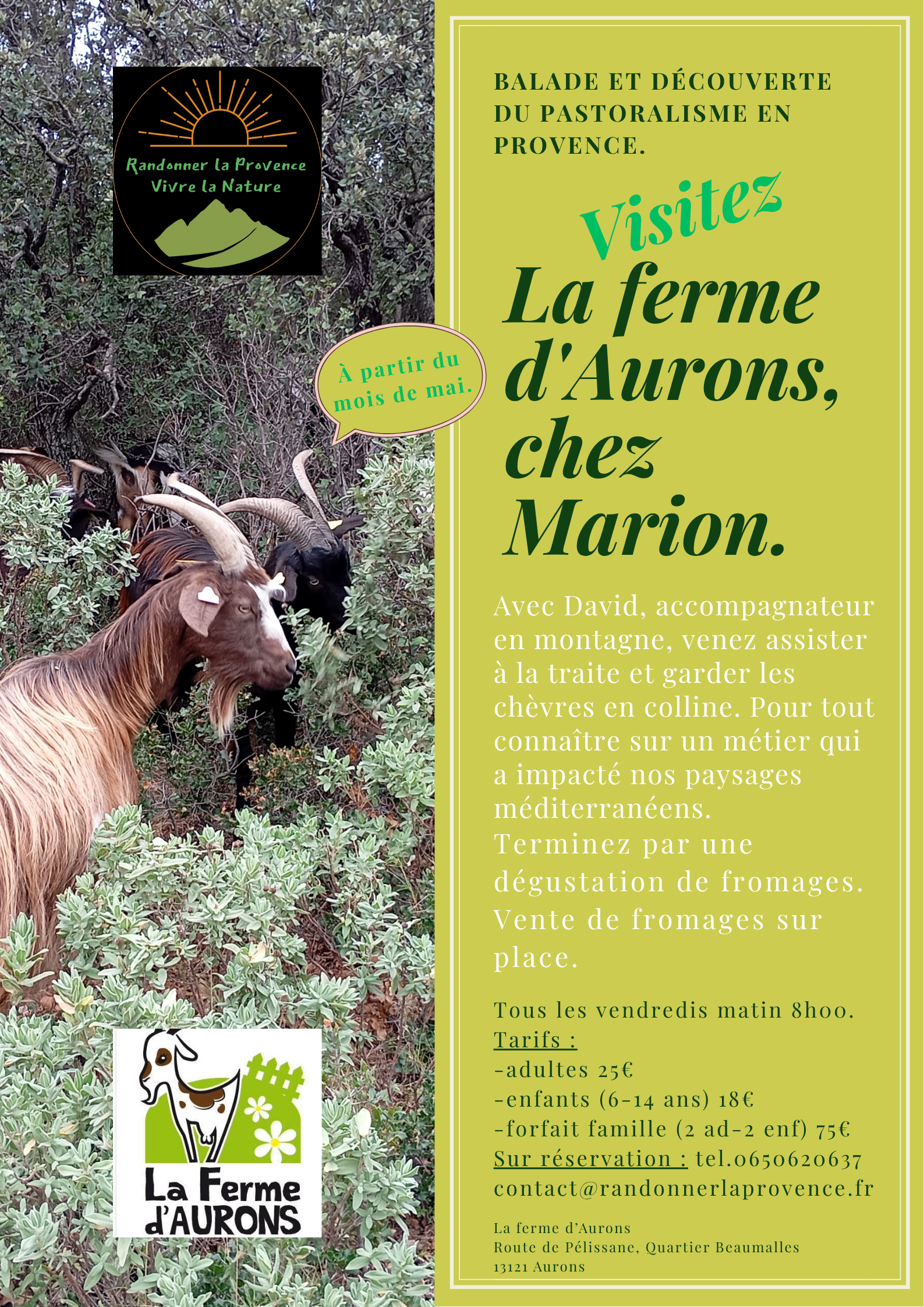 Balade et d�couverte du pastoralisme en Provence