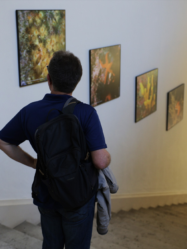Soir�e de restitution du City Nature Challenge 2026