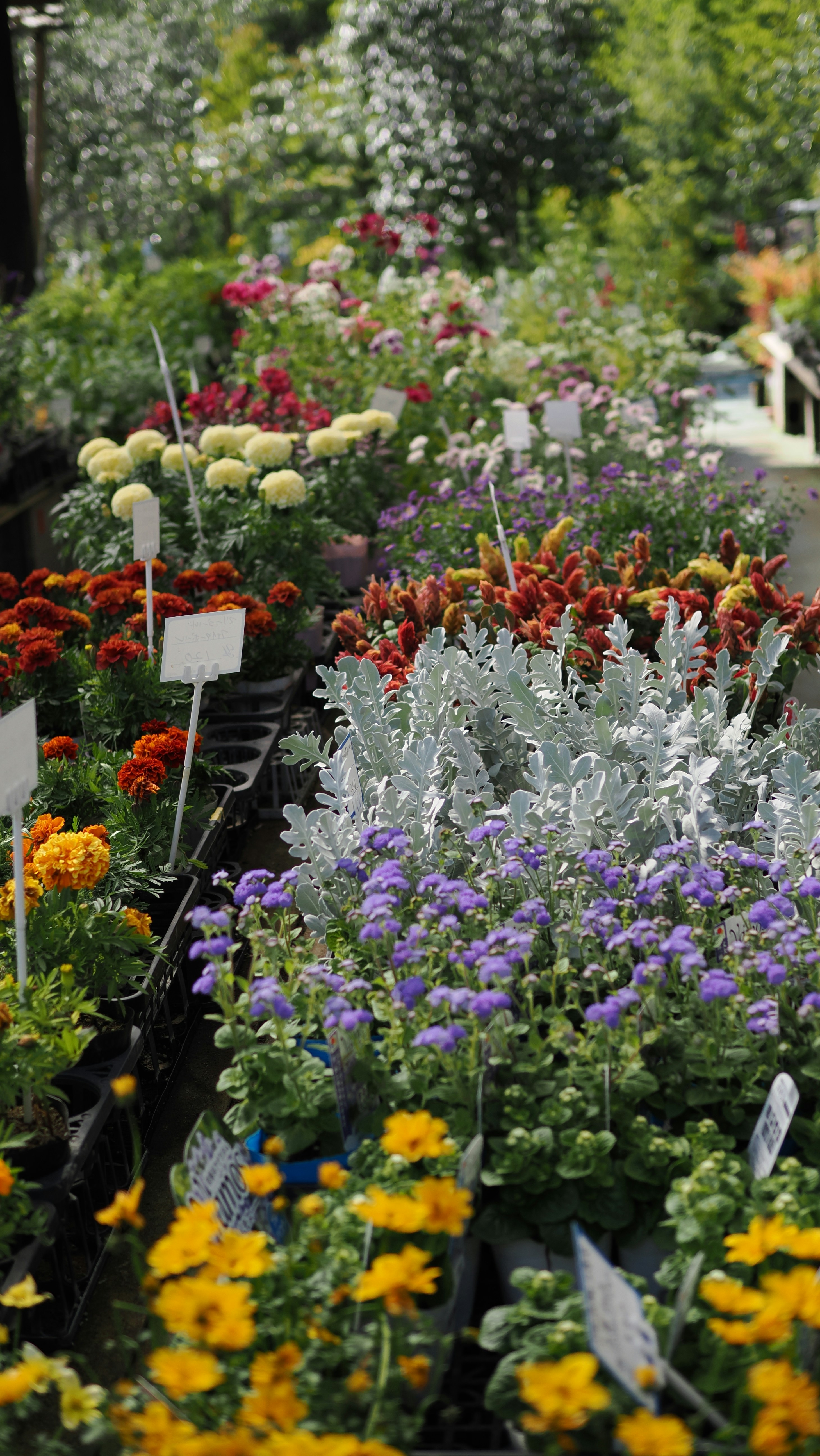 Foire de printemps � la cr�che La Ruche