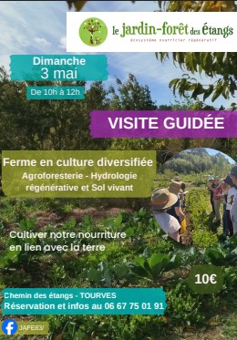 Visite guid�e : Le jardin-for�t des �tangs