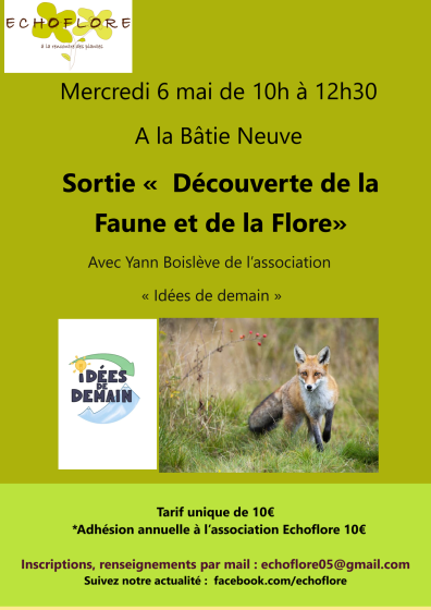 Sortie D�couverte de la faune et de la flore