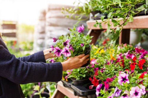 F�te des jardins
