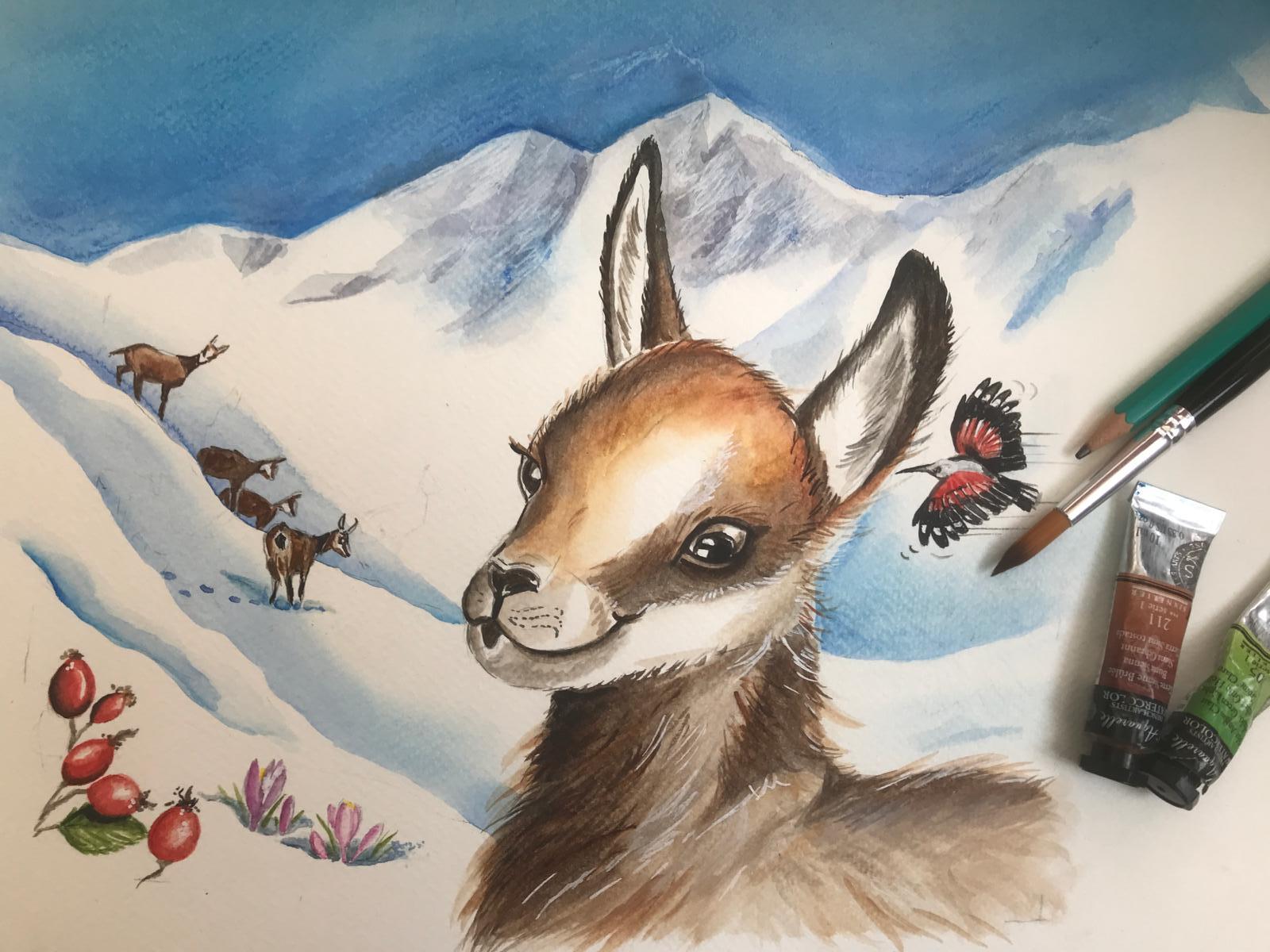 Viens dessiner les animaux du Mercantour !