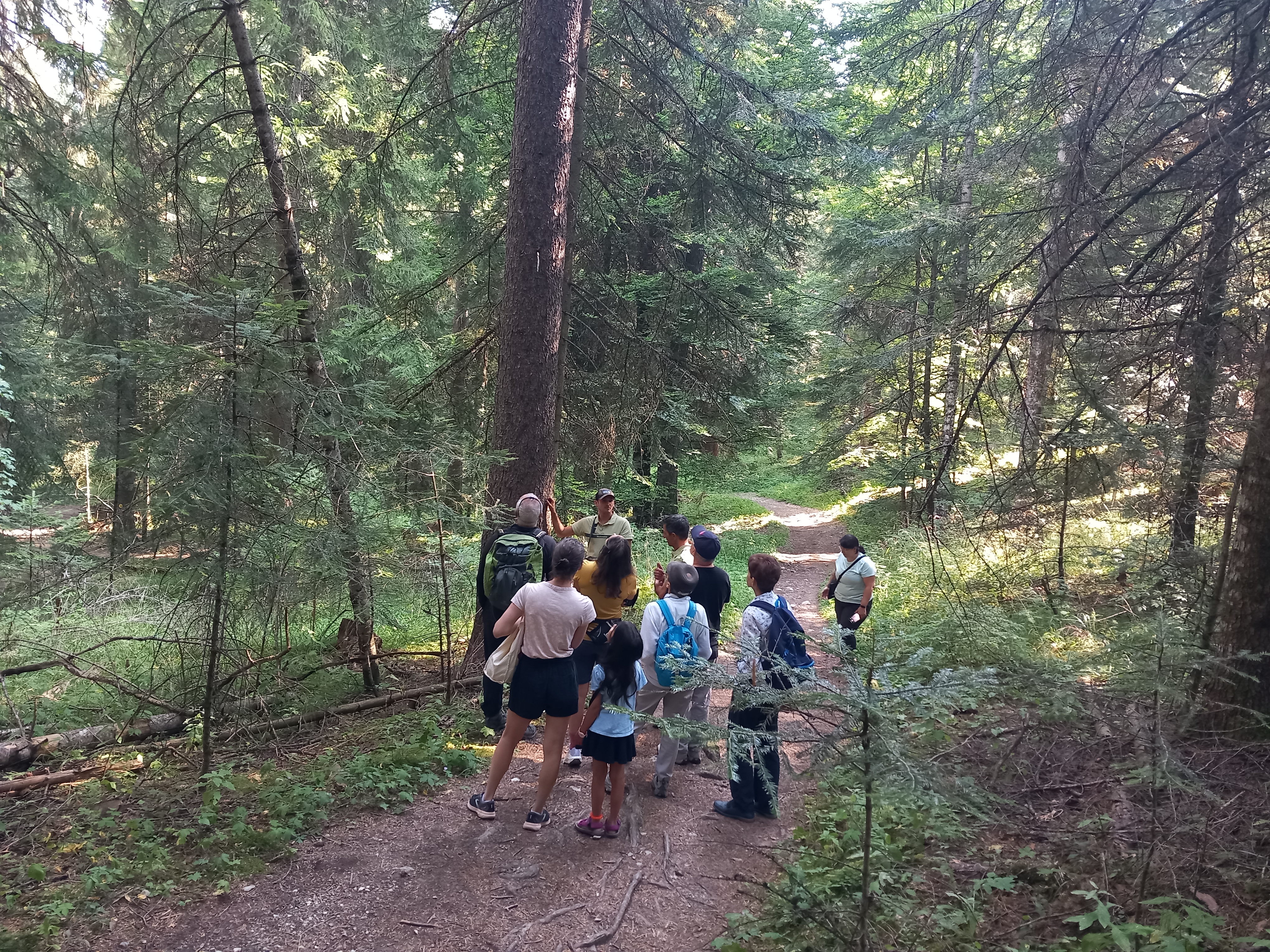 D�couvrez la for�t de Boscodon et devenez technicien forestier
