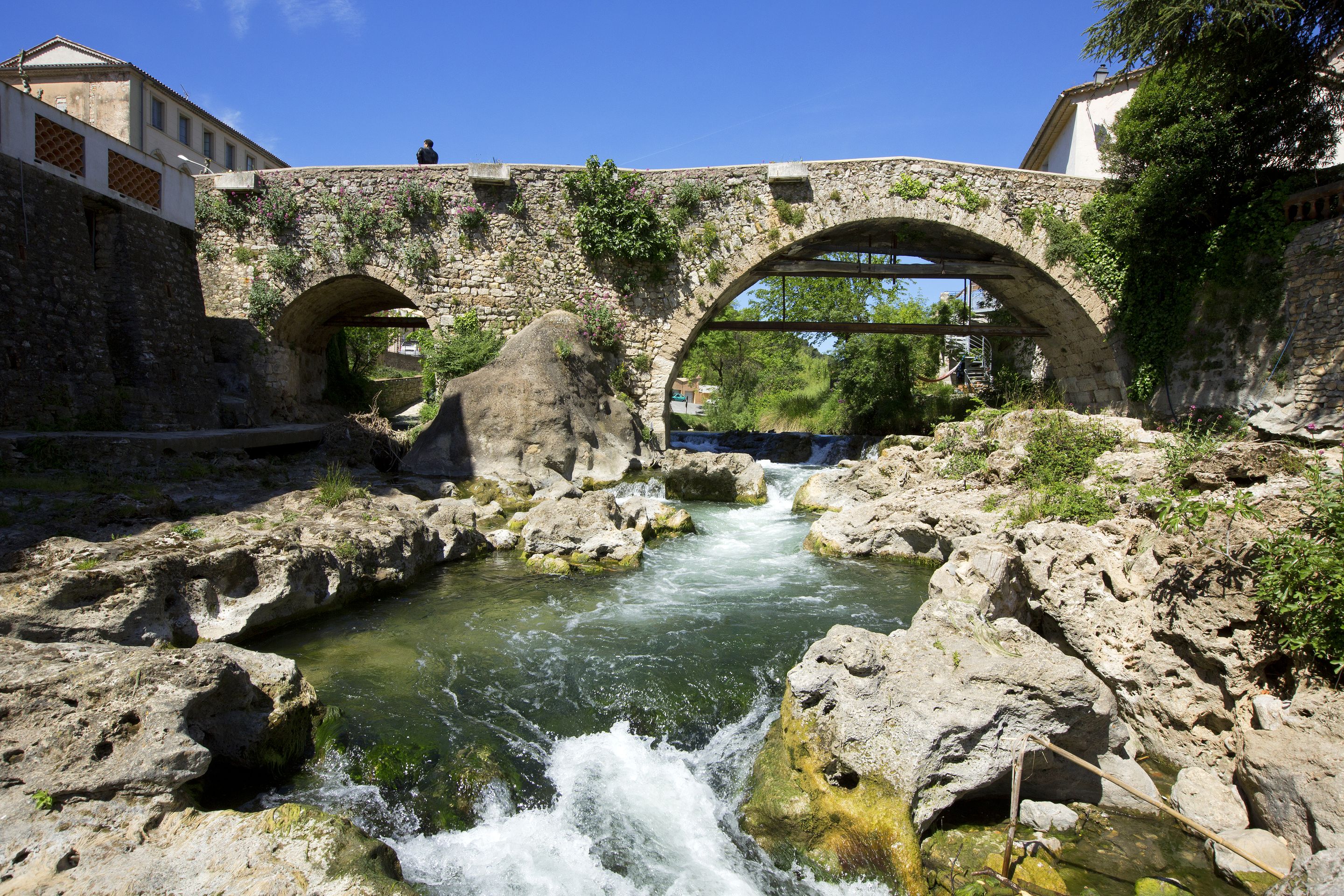 Les Secrets de la Dracenie f�te le patrimoine � Trans en Provence