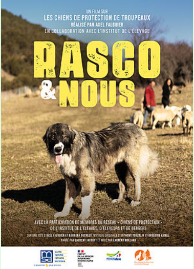 Rasco et nous - Au voisinage des chiens de protection des troupeau
