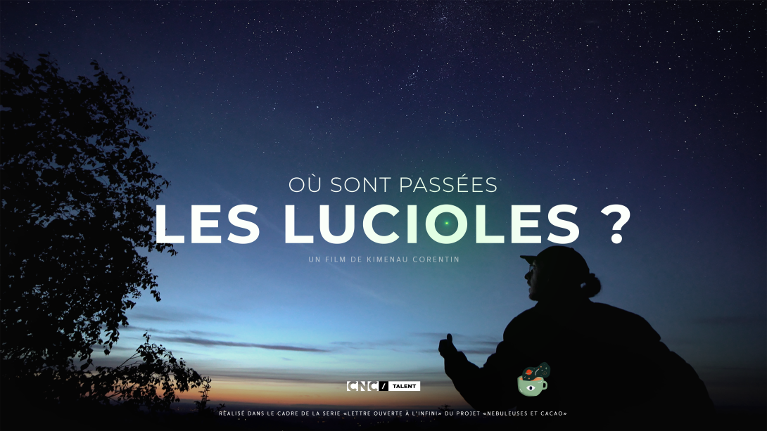 O� sont pass�es les lucioles
